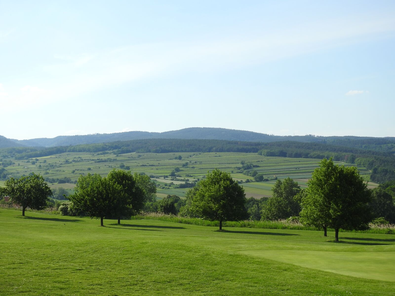 Nikon Coolpix P900 sample photo. Golf course, forest, wine photography