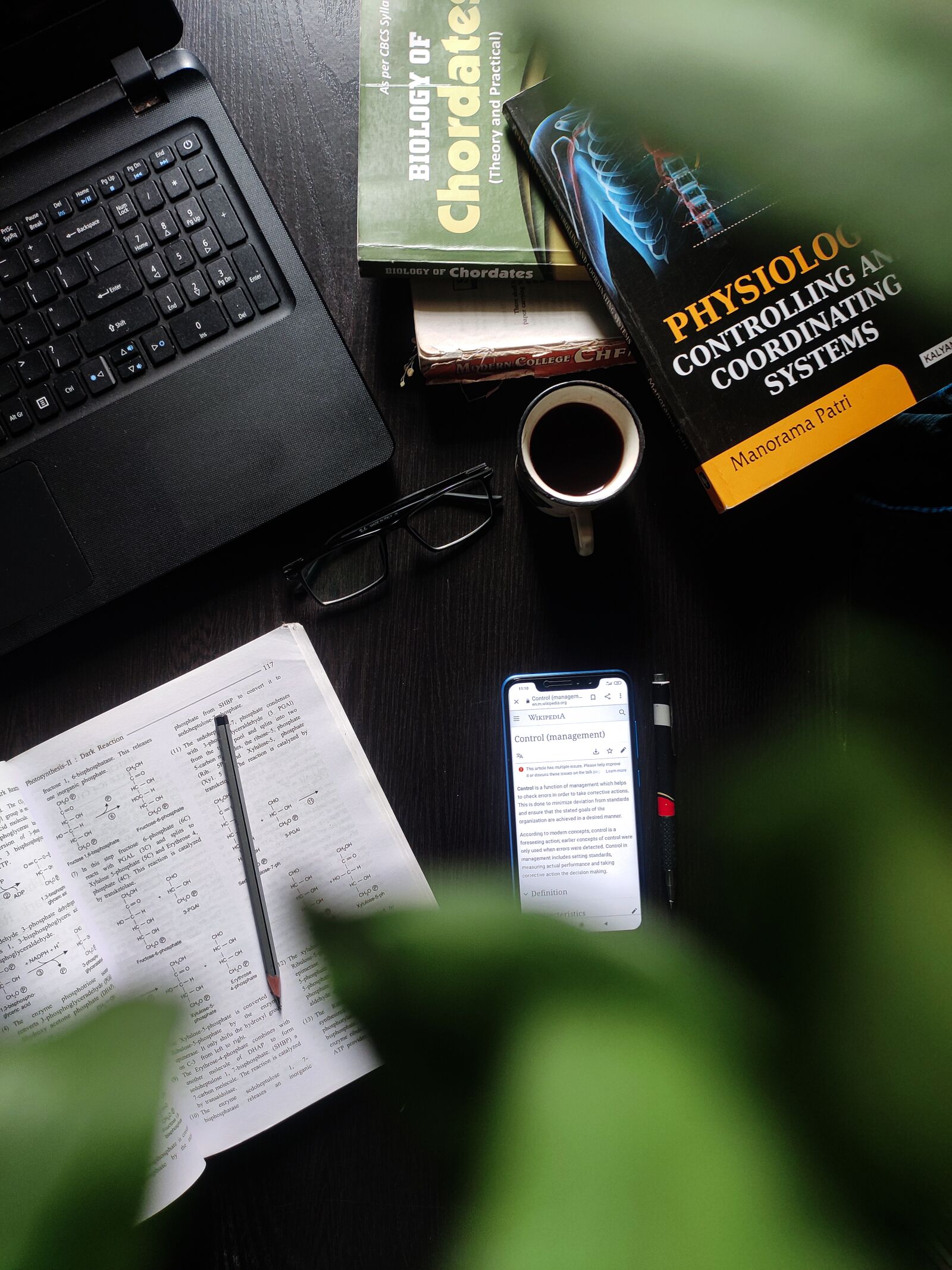 Xiaomi Redmi Note 7 Pro sample photo. Books, study, learning photography