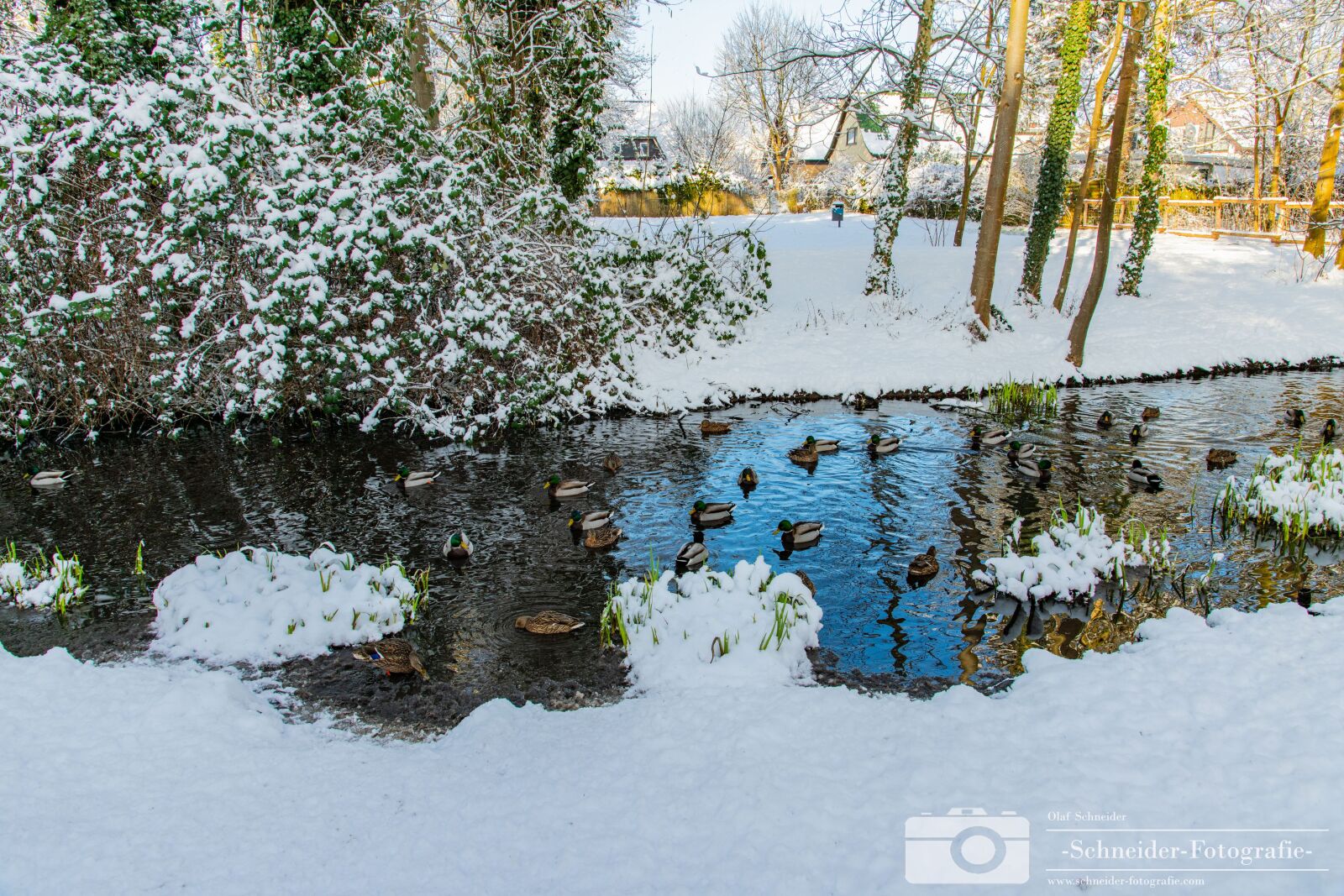 Nikon D850 sample photo. Winter in berlin- rudow photography