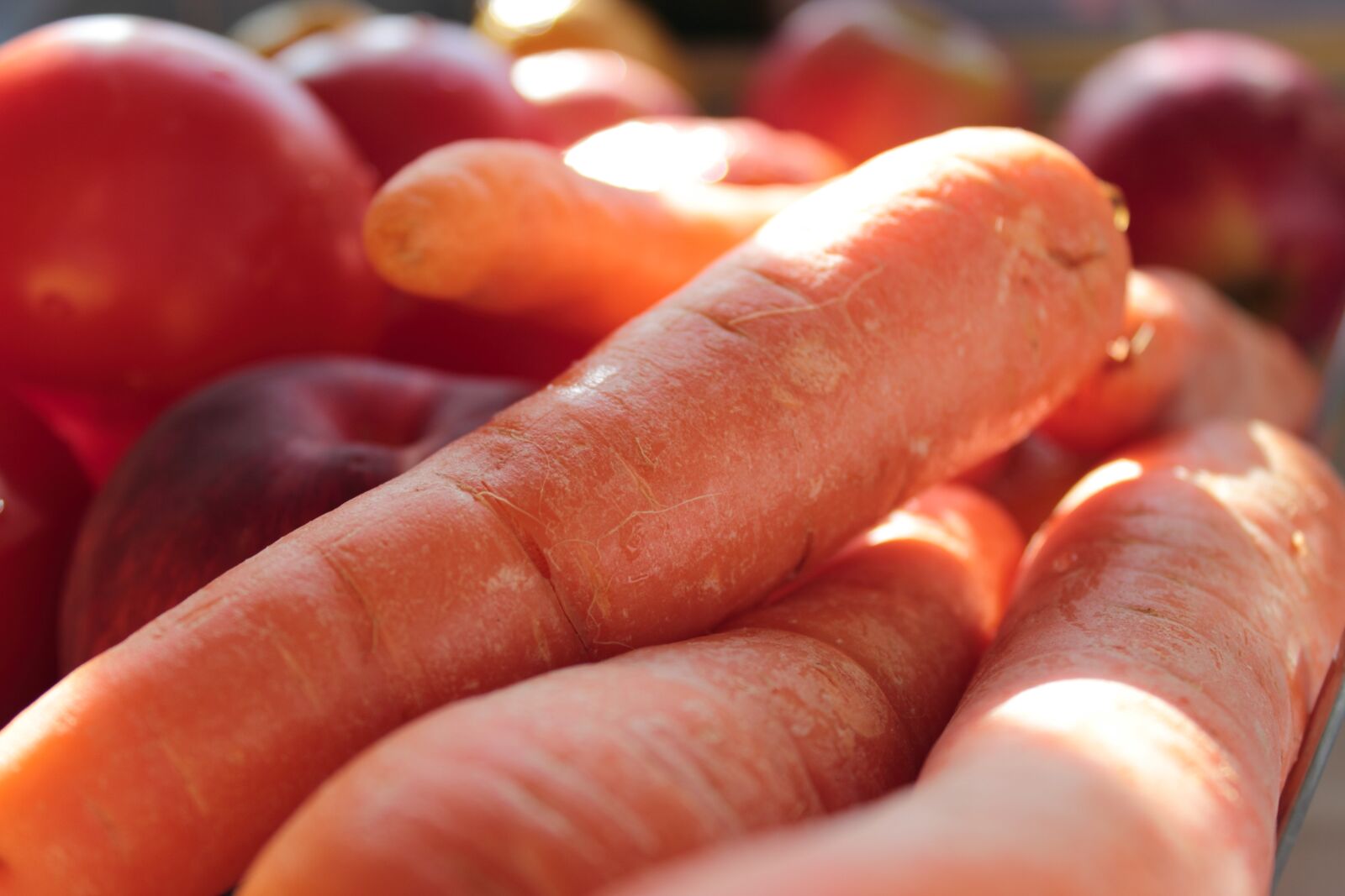 Canon EOS 550D (EOS Rebel T2i / EOS Kiss X4) sample photo. Vegetables, carrots, toma photography