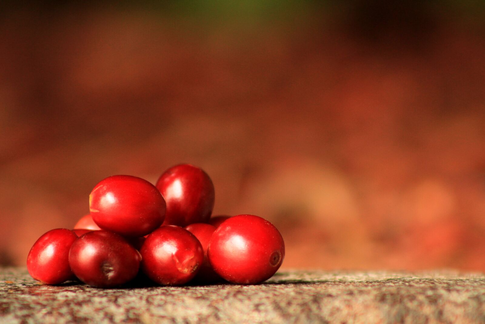 Canon EOS 7D sample photo. Coffee grains, mature, agriculture photography
