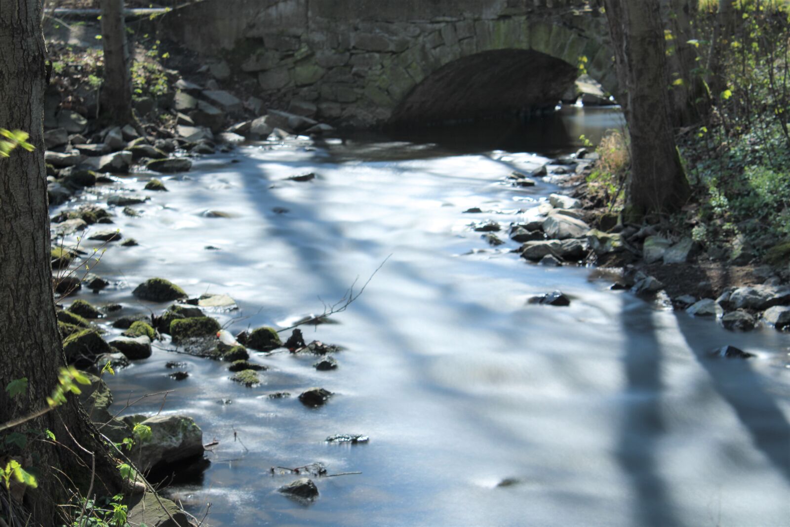 Canon EOS 2000D (EOS Rebel T7 / EOS Kiss X90 / EOS 1500D) sample photo. Bach, water, soft photography