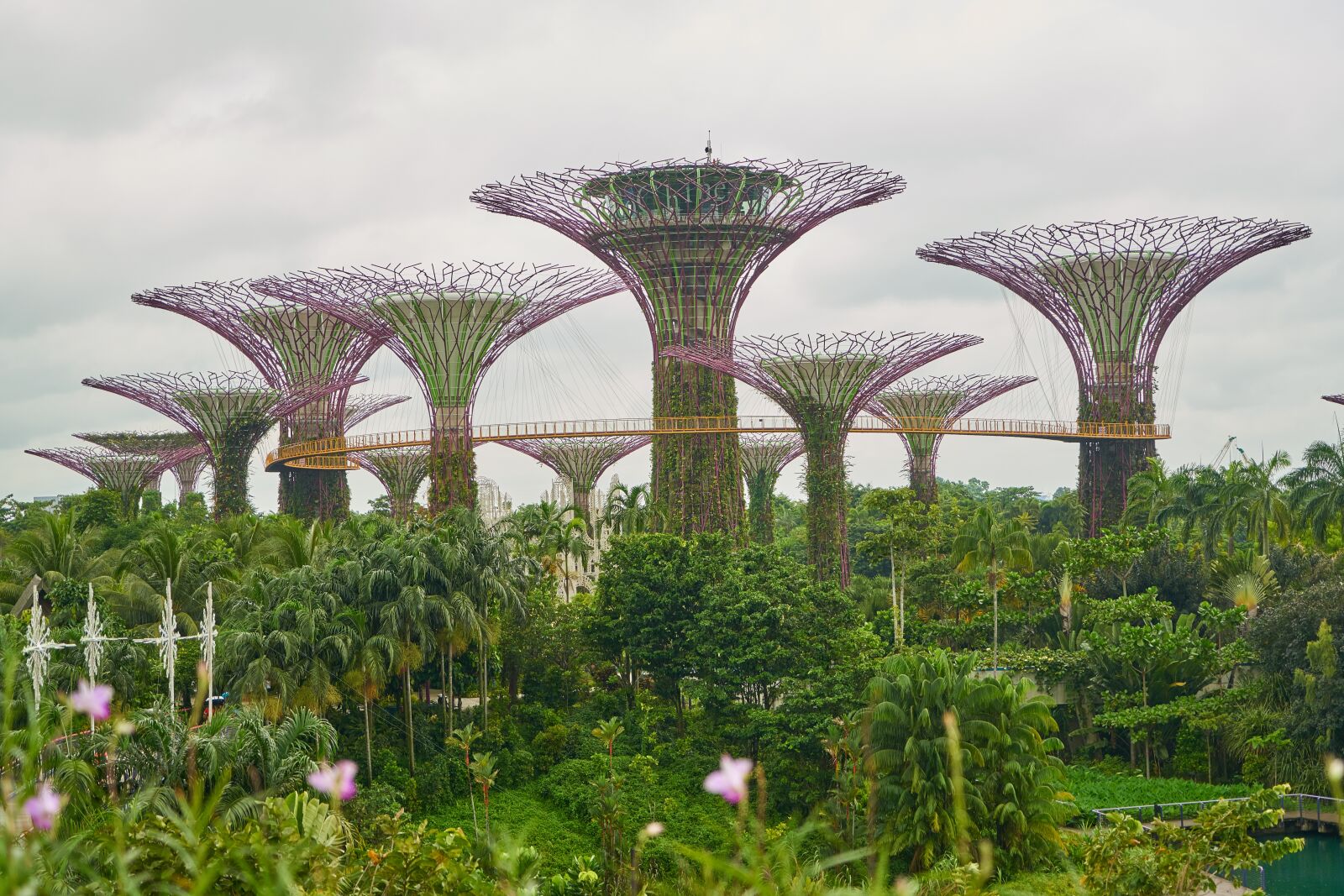 Sony a7R II sample photo. Singapore, park, landscape photography