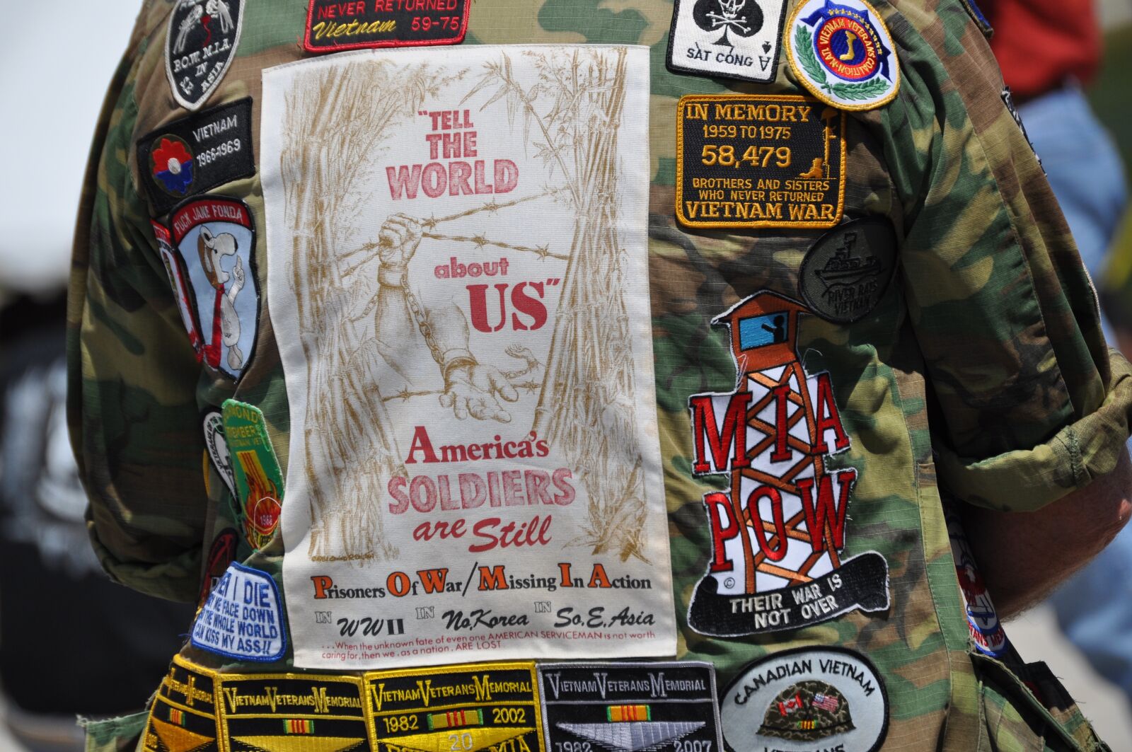 Nikon D5000 sample photo. Vietnam, memorial day, usa photography