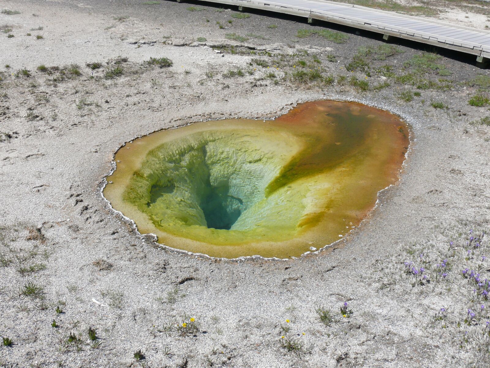 Panasonic DMC-FZ50 sample photo. Yellowstone park, national park photography