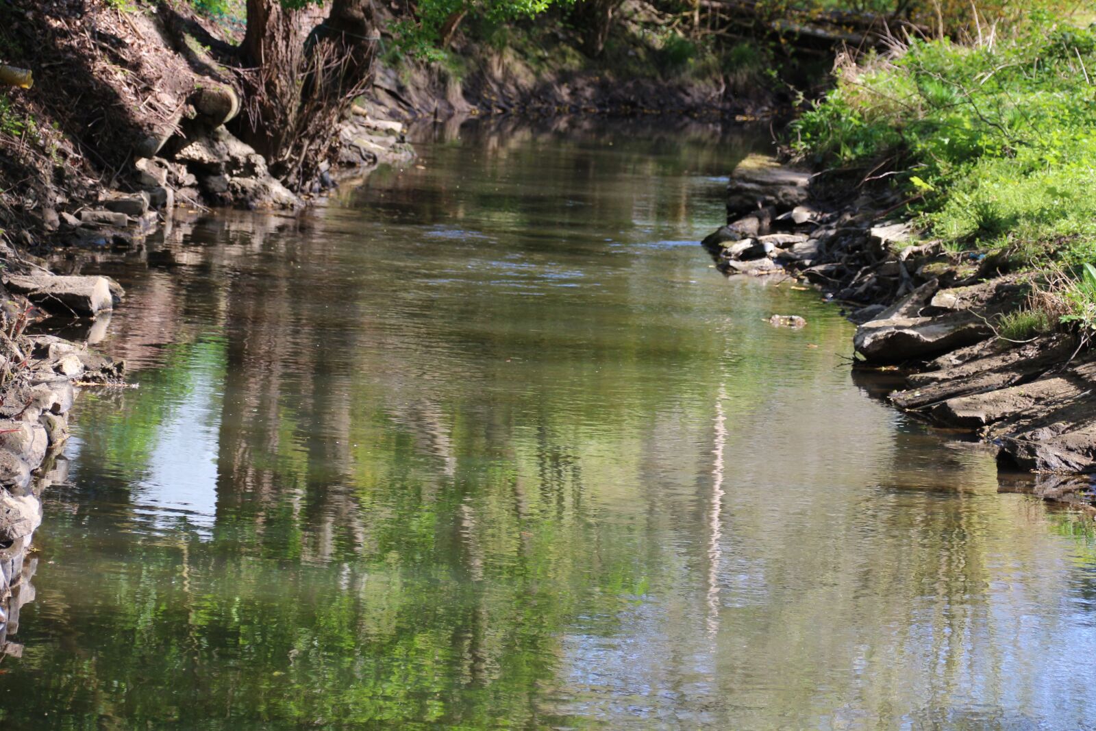 Canon EOS 700D (EOS Rebel T5i / EOS Kiss X7i) sample photo. Bach, nature, water photography