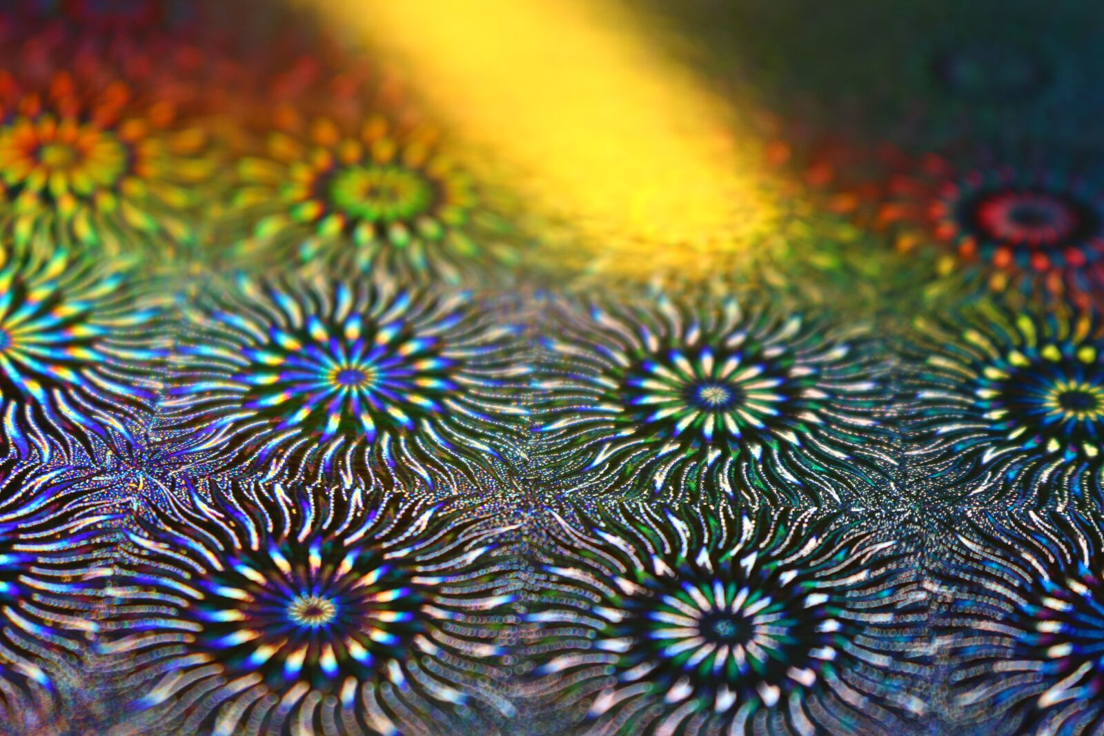 Canon EOS 100D (EOS Rebel SL1 / EOS Kiss X7) sample photo. Handicraft paper, iridescent, light photography