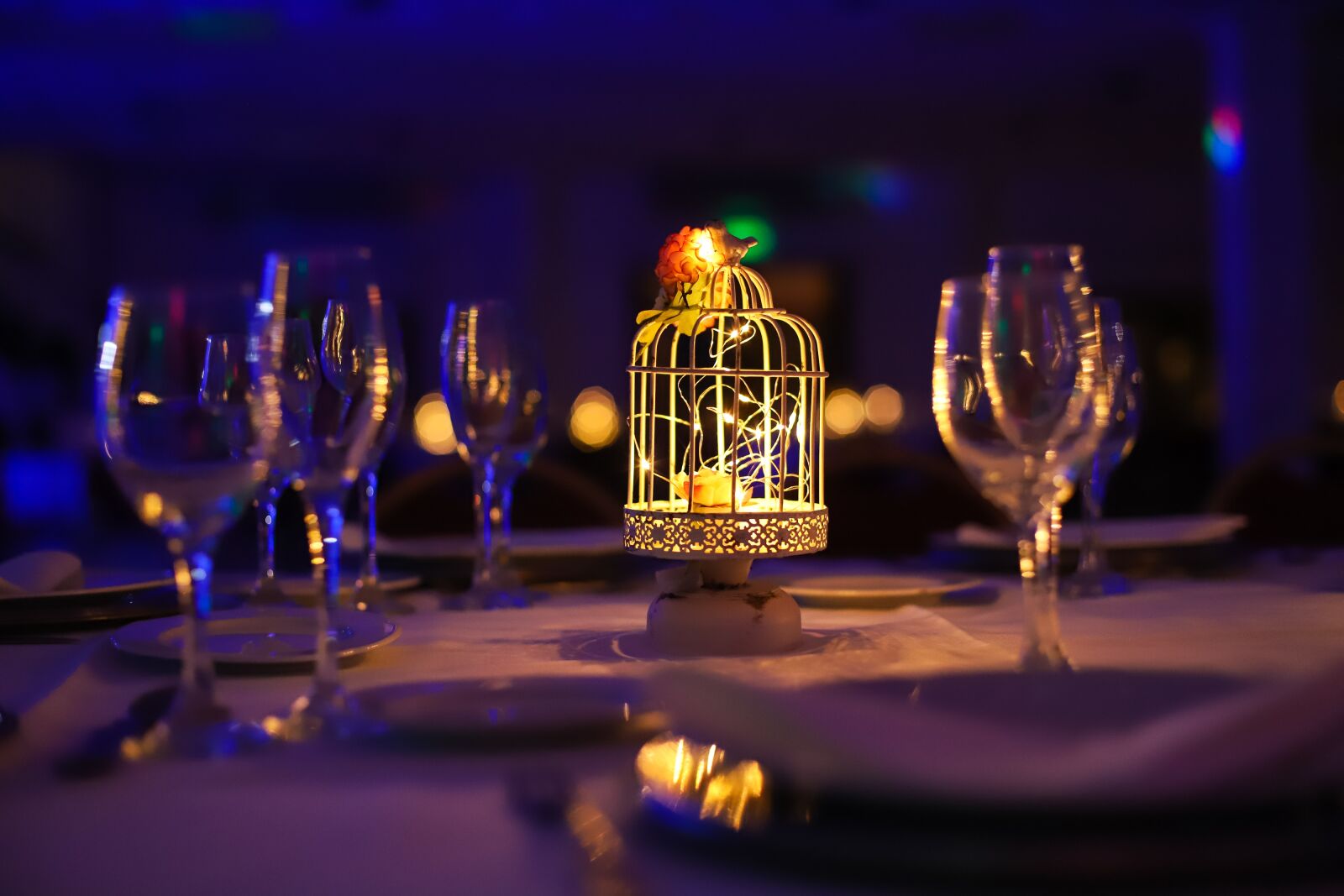 Canon EOS 6D Mark II + Canon EF 50mm F1.4 USM sample photo. Party, lights, event photography