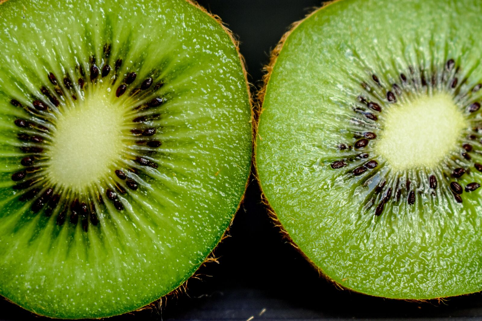 Nikon D3400 sample photo. Kiwi, approach, vivid photography