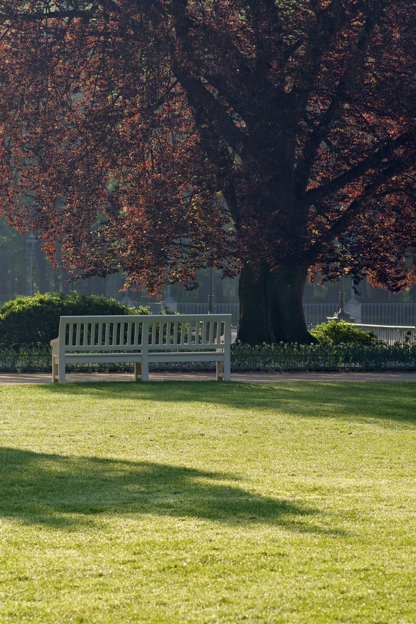 Pentax K-S2 sample photo. Tree, bench, park photography