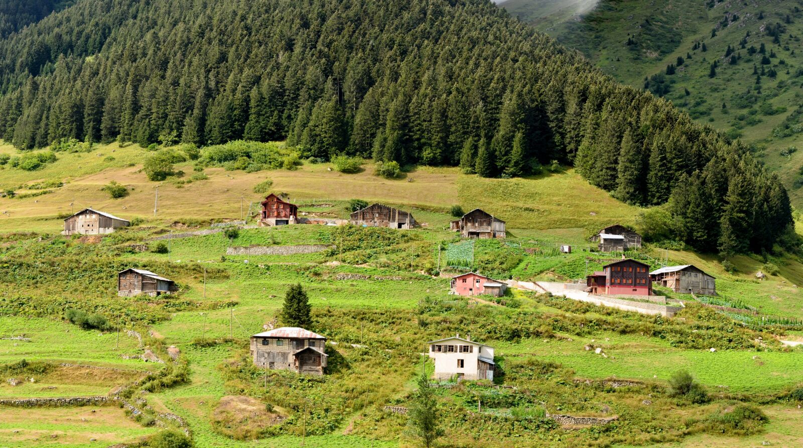 Nikon D5100 sample photo. Eastern black sea, rize photography