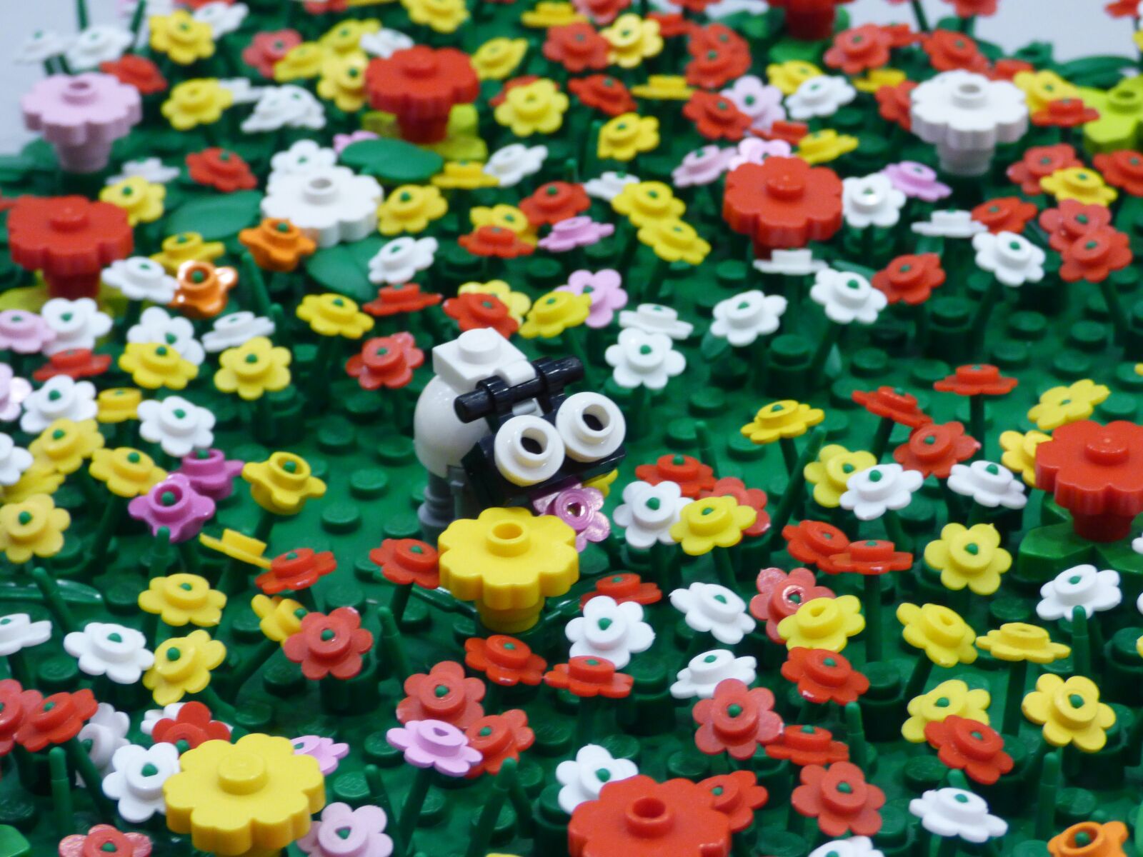 Panasonic DMC-FZ72 sample photo. Lego, pads, meadow photography
