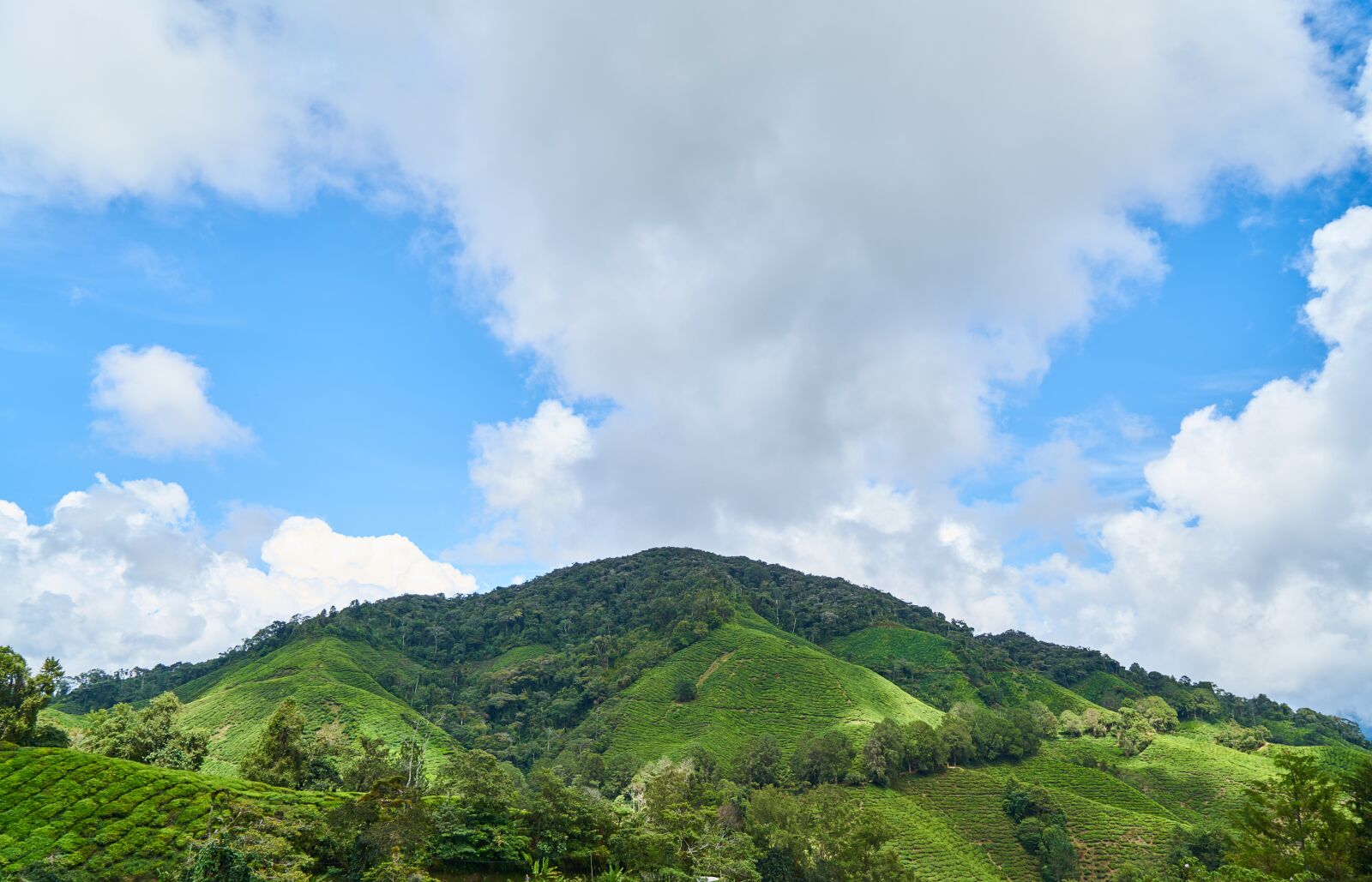 Sony a7R II sample photo. Nature, landscape, mountain photography
