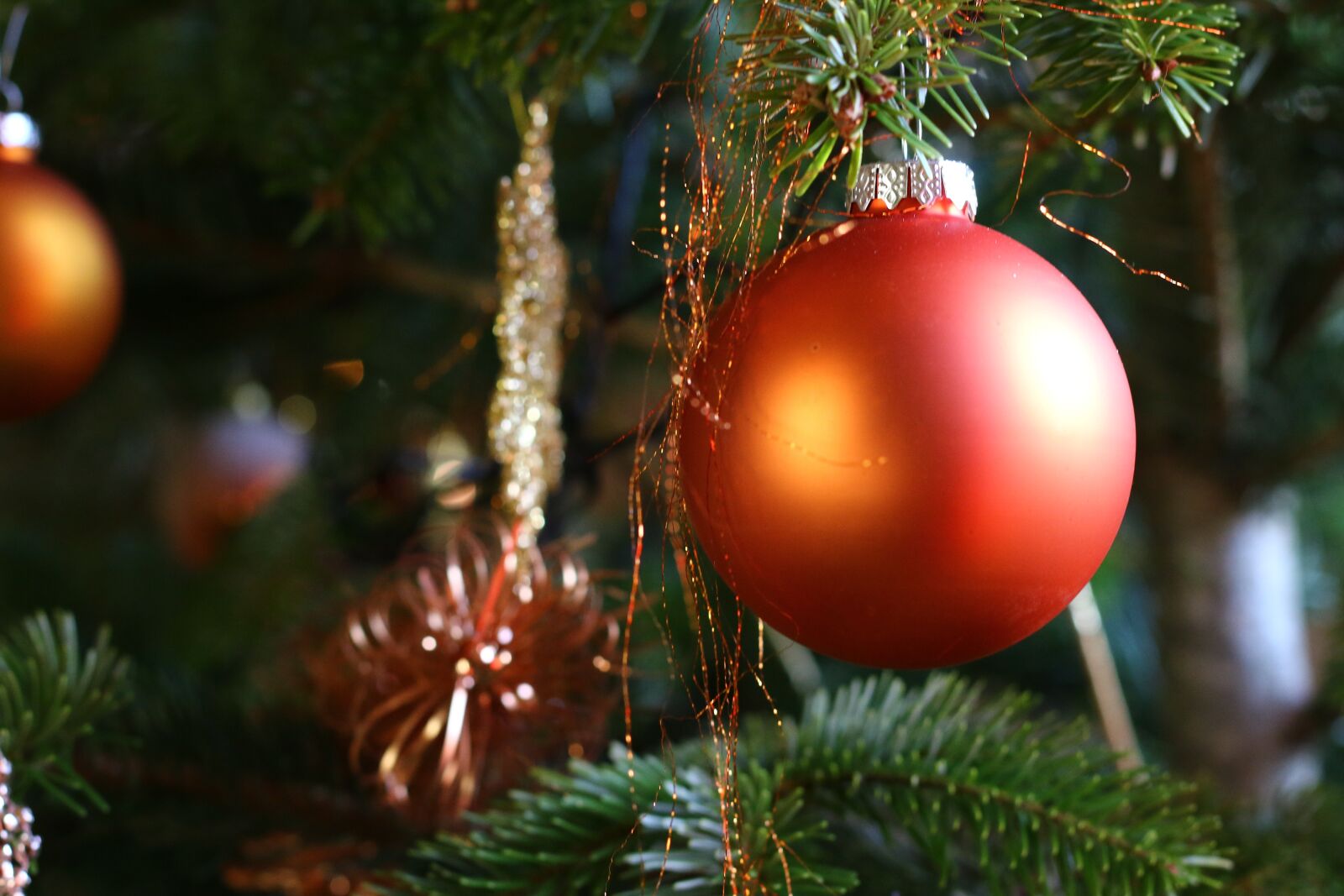 Canon EOS 70D + Canon EF 50mm F1.8 STM sample photo. Christmas, ball, decoration photography
