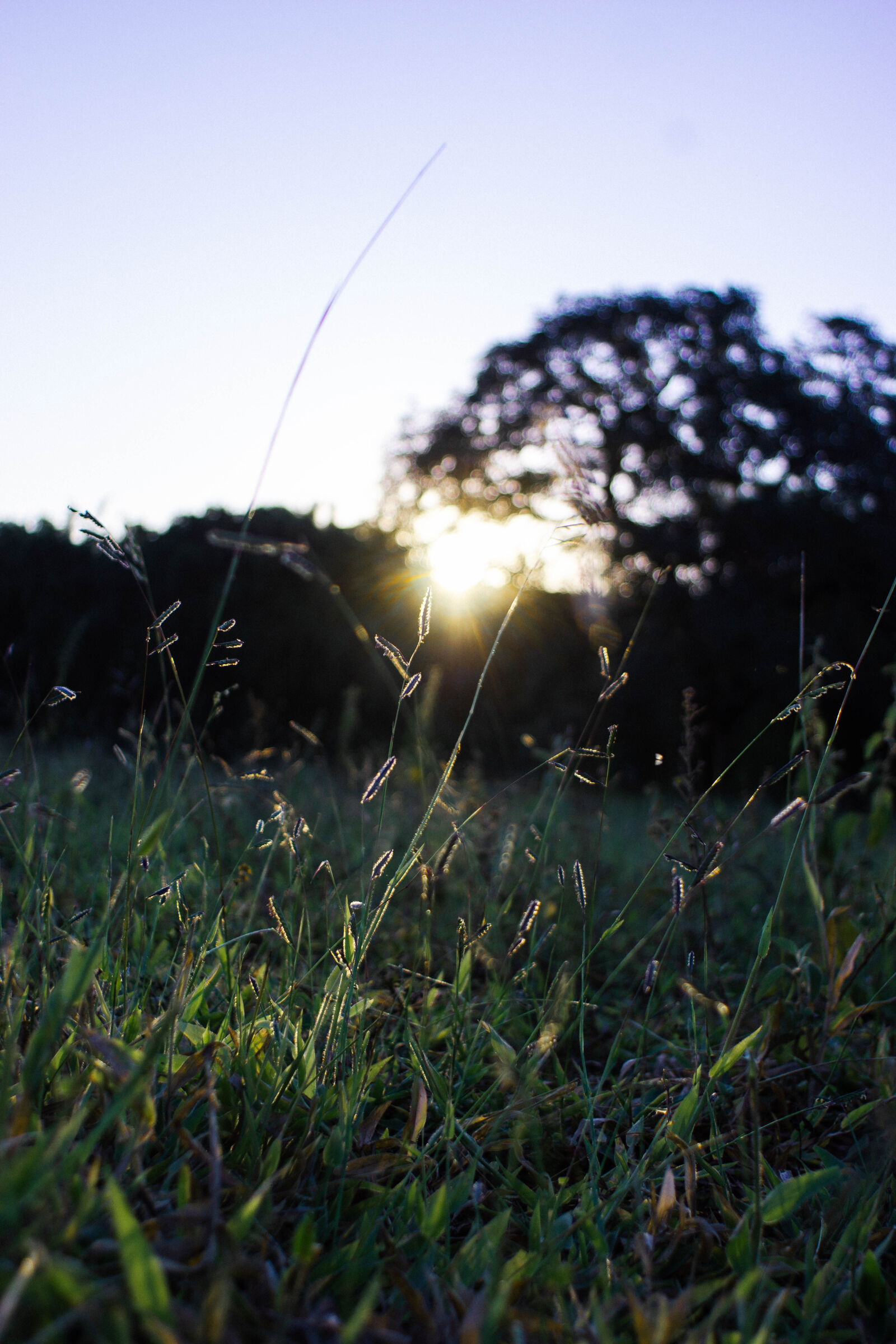 Sony 28mm F2.8 sample photo