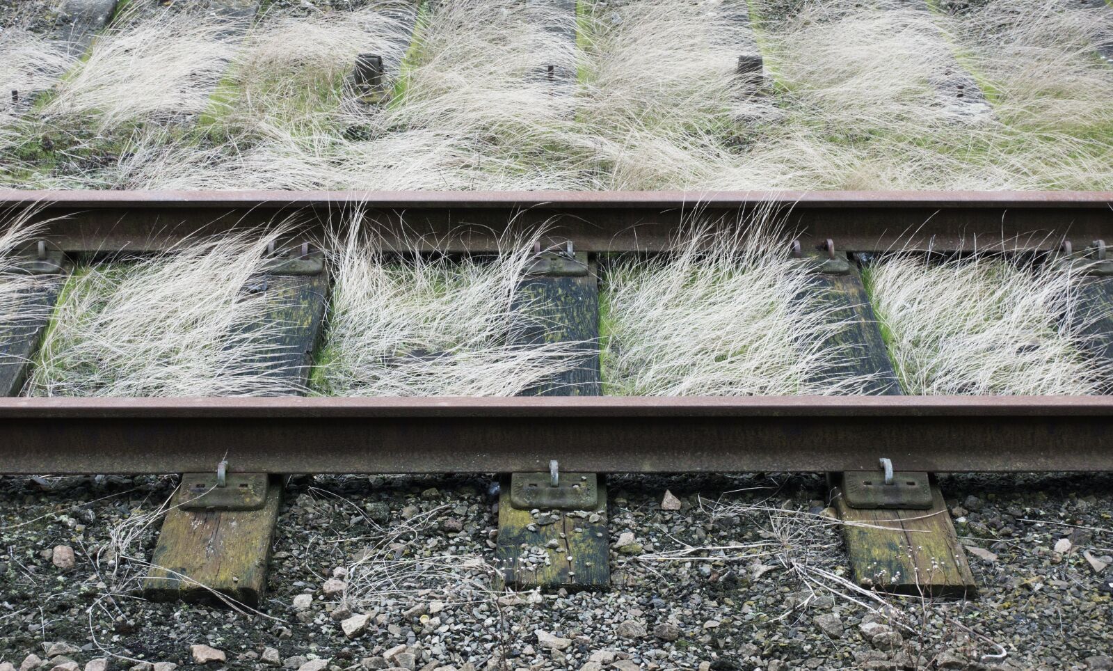 Sony DSC-RX100M5 sample photo. Railway, railroad, track photography