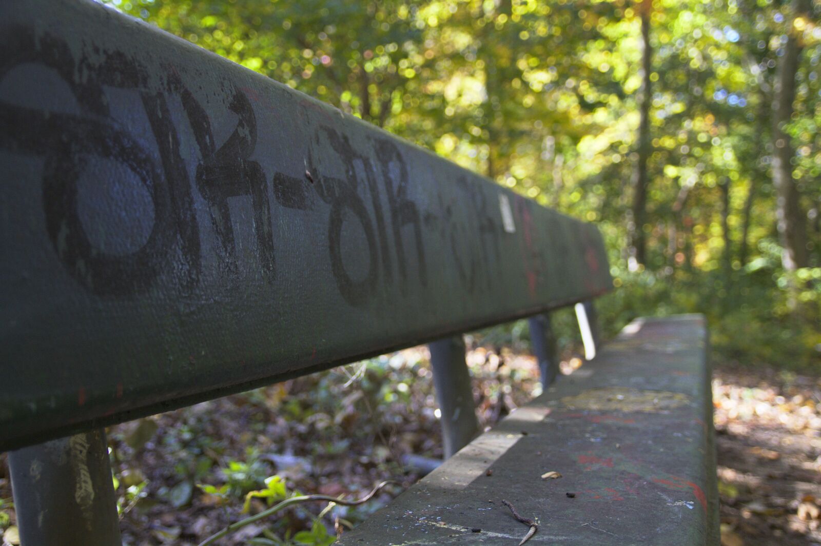 Canon EOS 7D sample photo. Bench, lonely, forest photography
