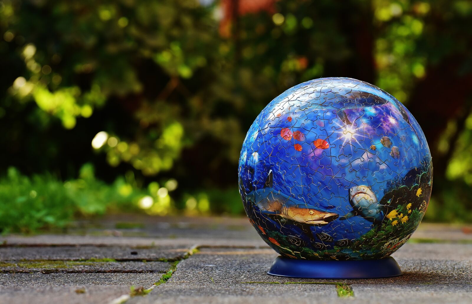 Nikon D7200 sample photo. Puzzle ball, underwater world photography