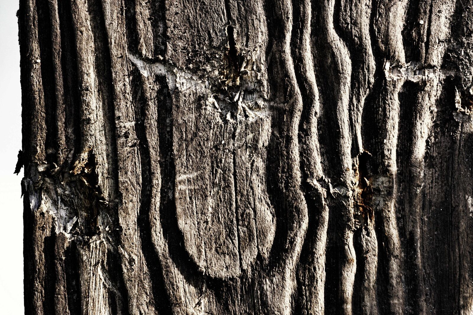 Sony E 55-210mm F4.5-6.3 OSS sample photo. Wood, structure, background photography