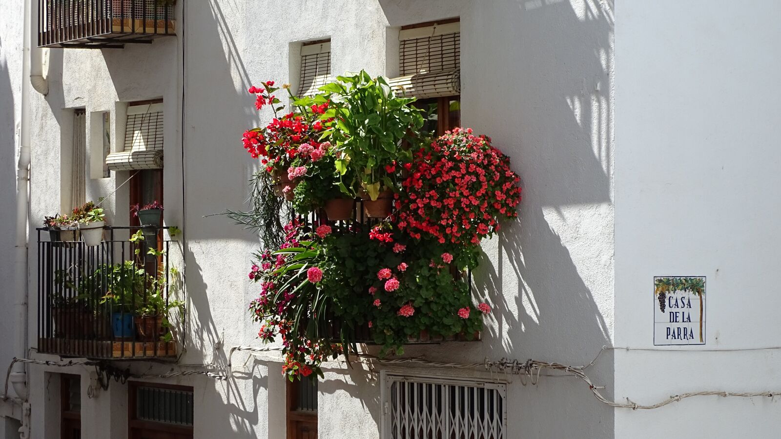Sony Cyber-shot DSC-HX400V sample photo. Window, flowers, spring photography