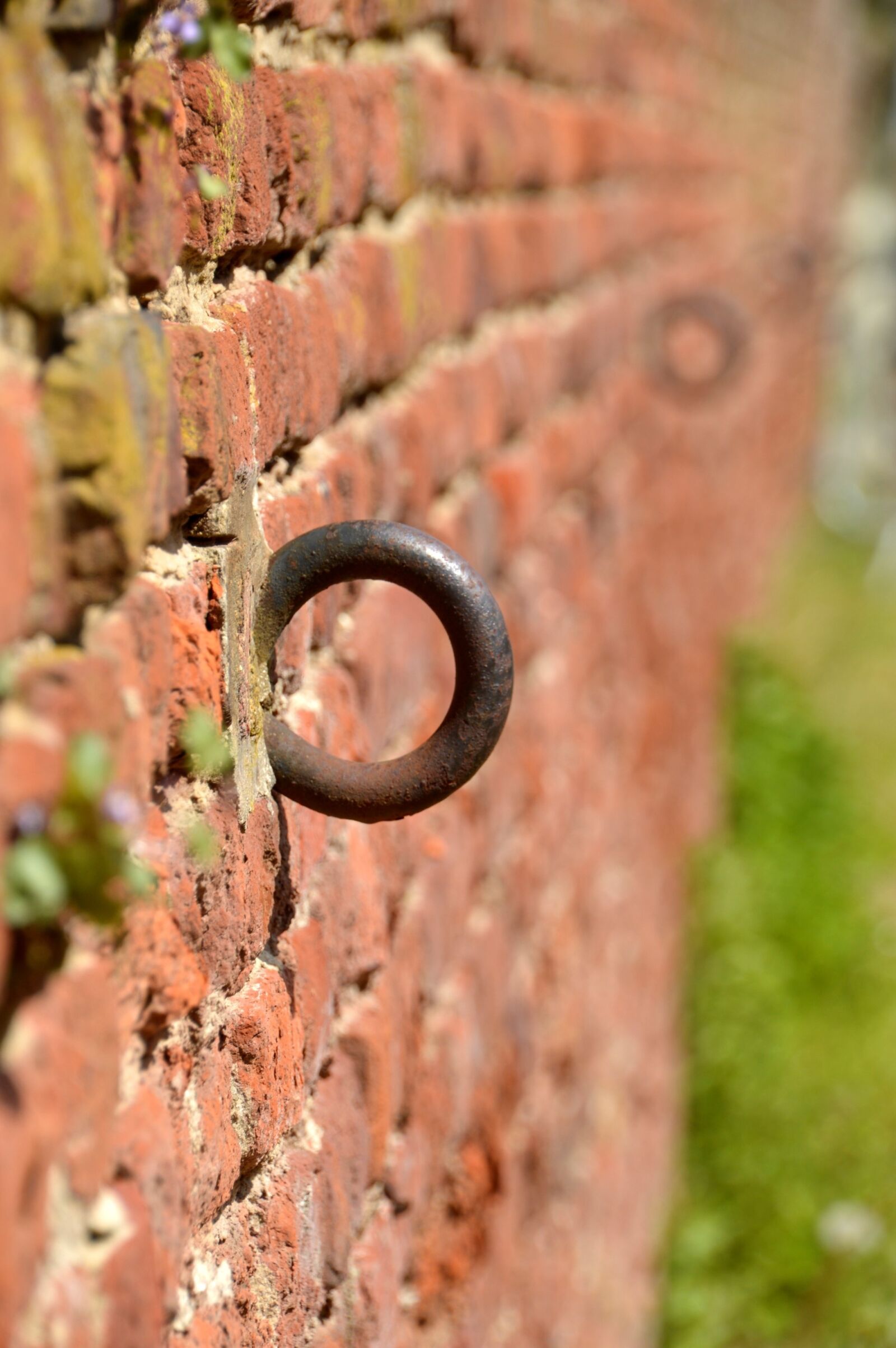 Nikon D3200 sample photo. Wall, brick, œillet photography
