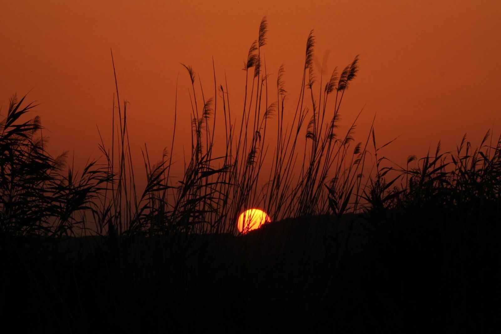 Canon EOS 1200D (EOS Rebel T5 / EOS Kiss X70 / EOS Hi) sample photo. Sunrise, lake balaton, lakeside photography