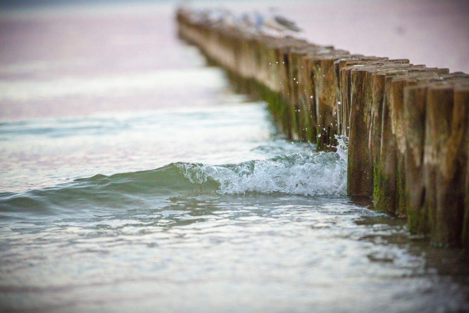 Canon EOS 5D Mark III sample photo. Waters, travel, nature photography