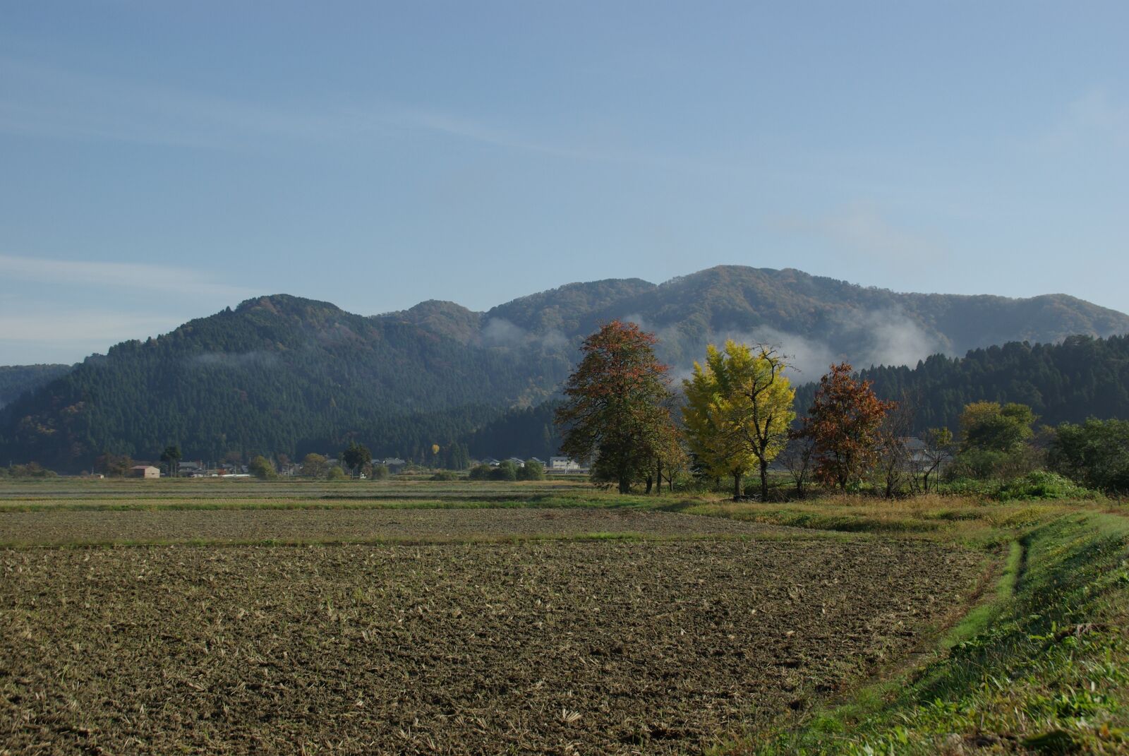Pentax K10D sample photo. I, to photography