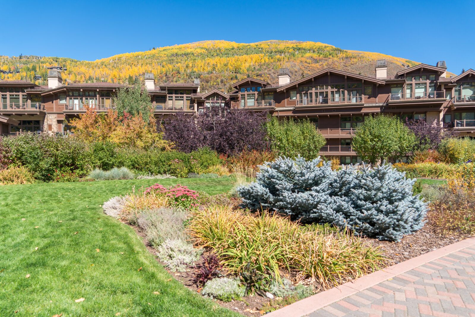 Sony a7R II + Sony FE 24-240mm F3.5-6.3 OSS sample photo. Fall, foliage, vail photography