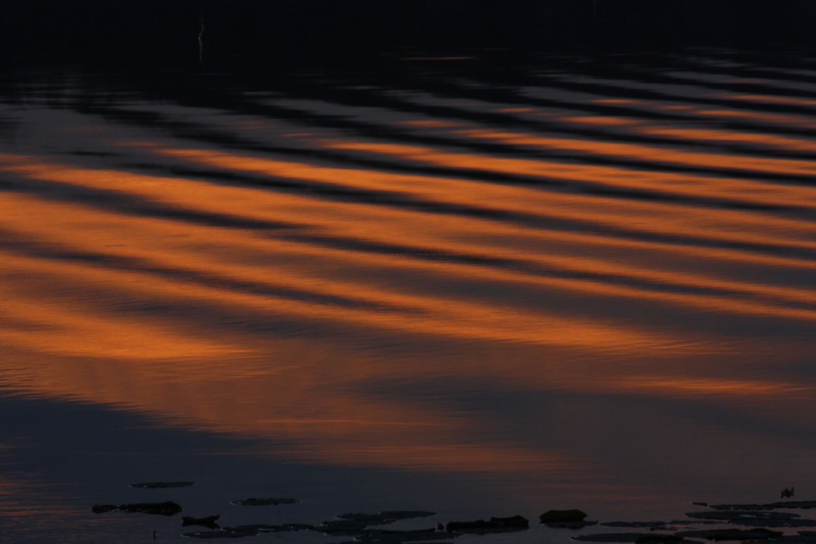 Canon EOS 1000D (EOS Digital Rebel XS / EOS Kiss F) sample photo. Lake, water, sunset photography