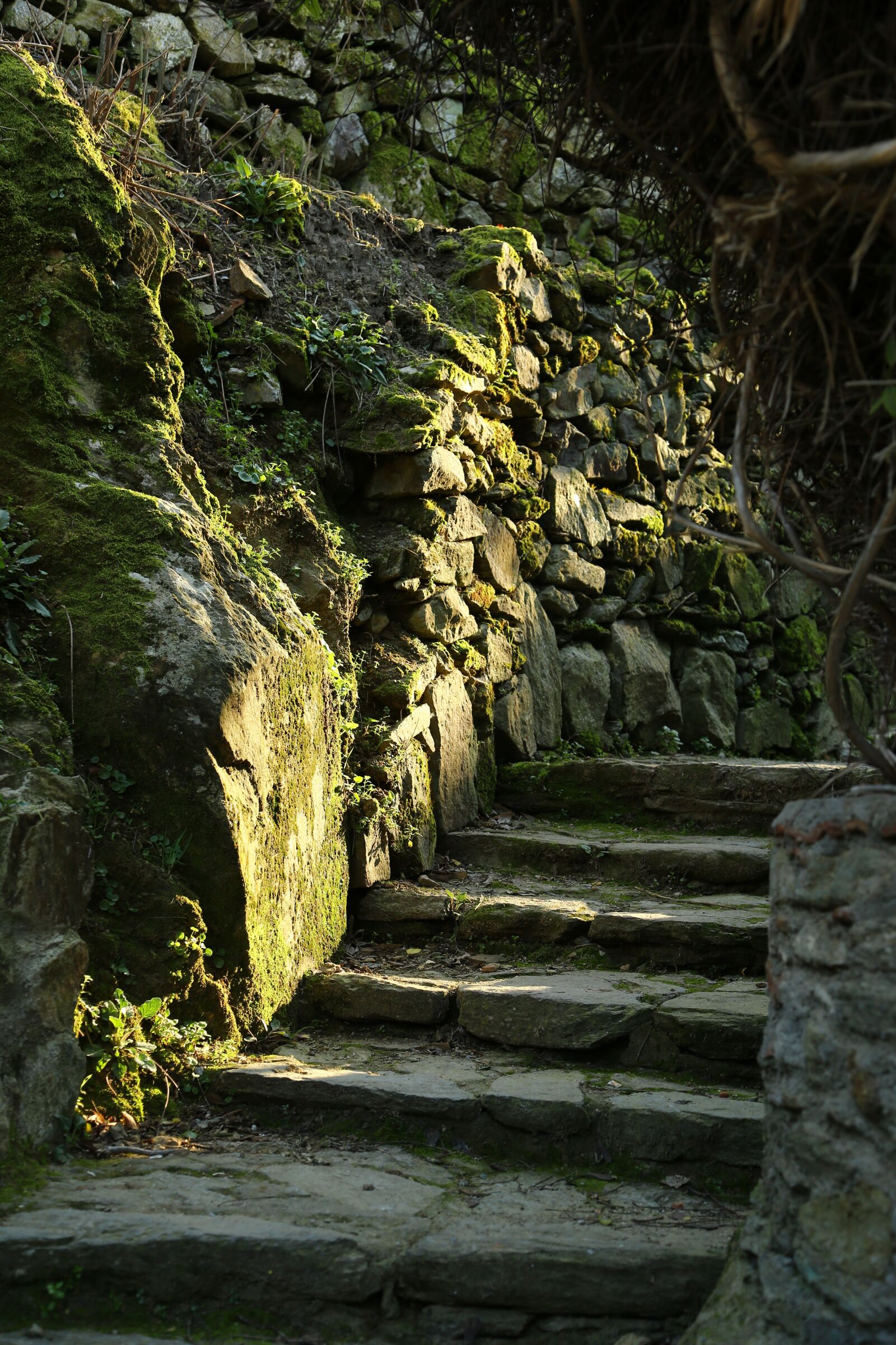 Canon EOS 5D Mark III sample photo. Woods, forest, stone stairs photography