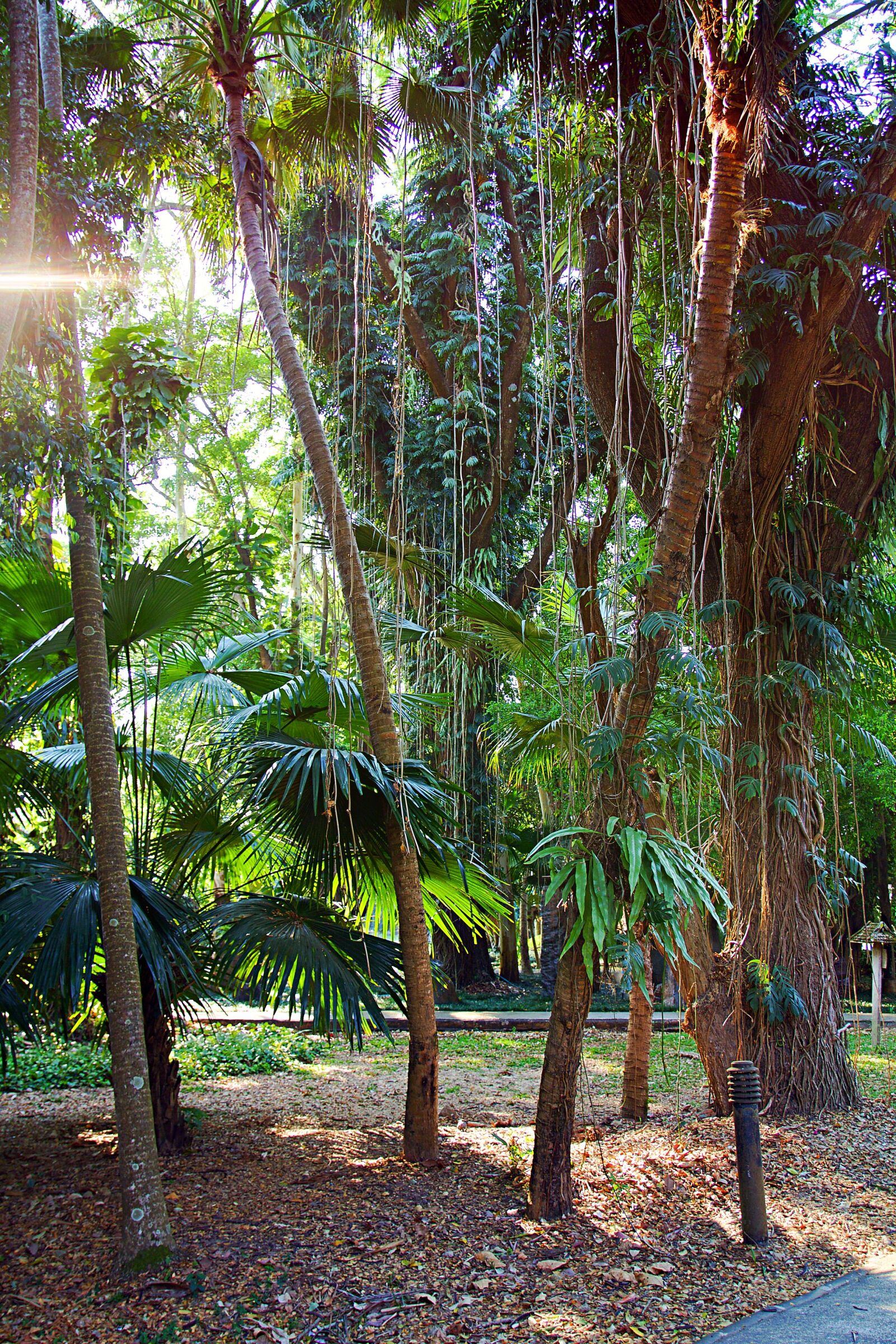 Canon EOS 600D (Rebel EOS T3i / EOS Kiss X5) sample photo. Asia, chiang rai, thailand photography