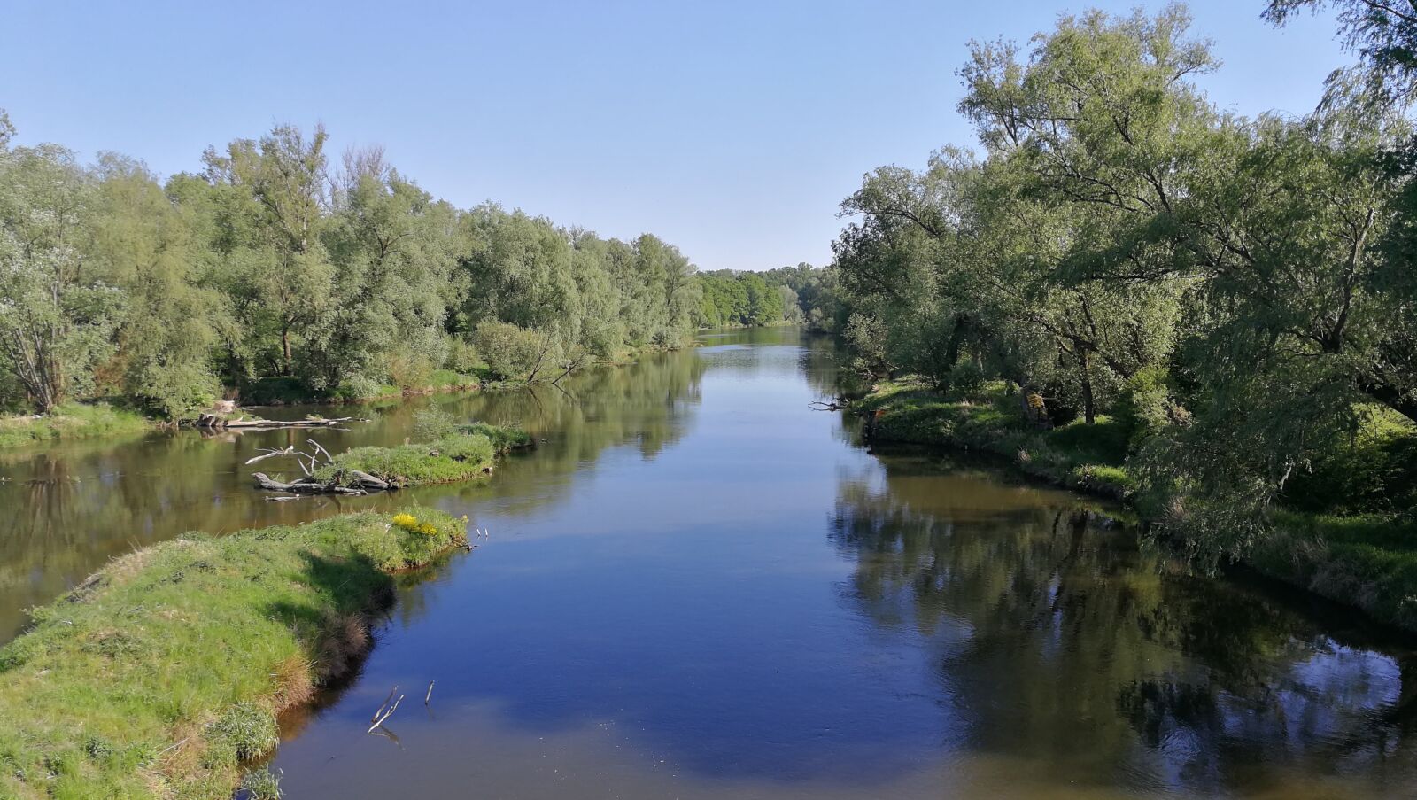HUAWEI P10 sample photo. River, tree, the wave photography