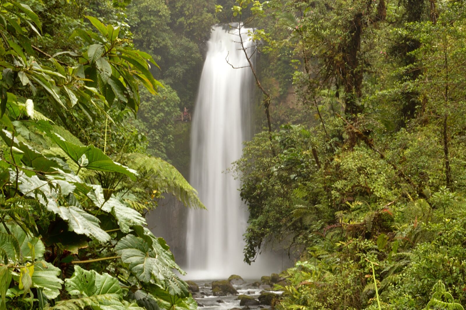 Nikon D3200 sample photo. Costa rica, latin america photography