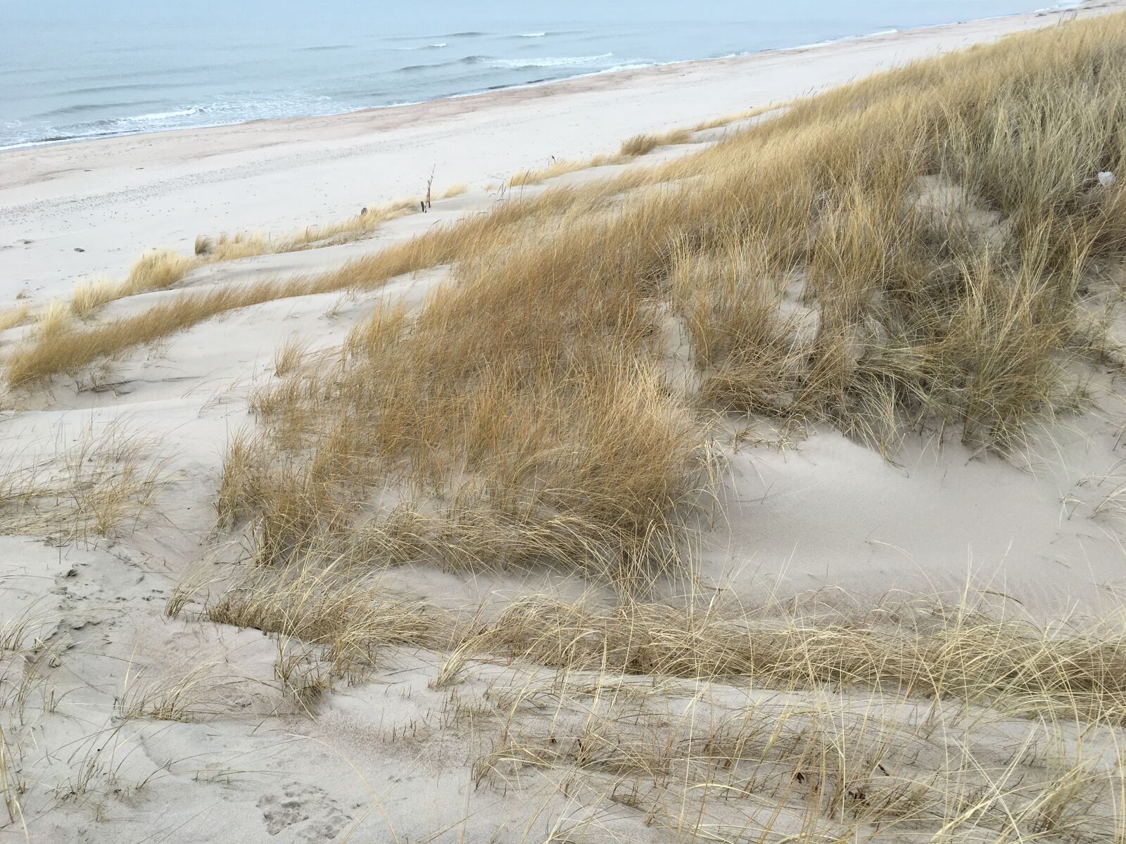 Apple iPhone 6s sample photo. Beach, sea, sand photography