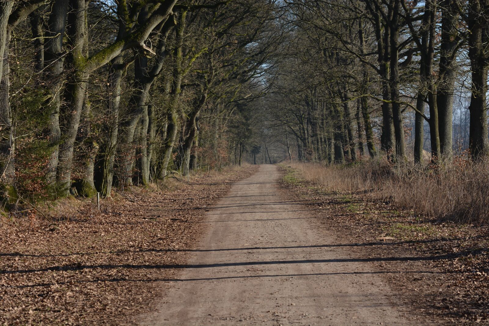 Nikon D7100 sample photo. Nature, away, möchsweg photography