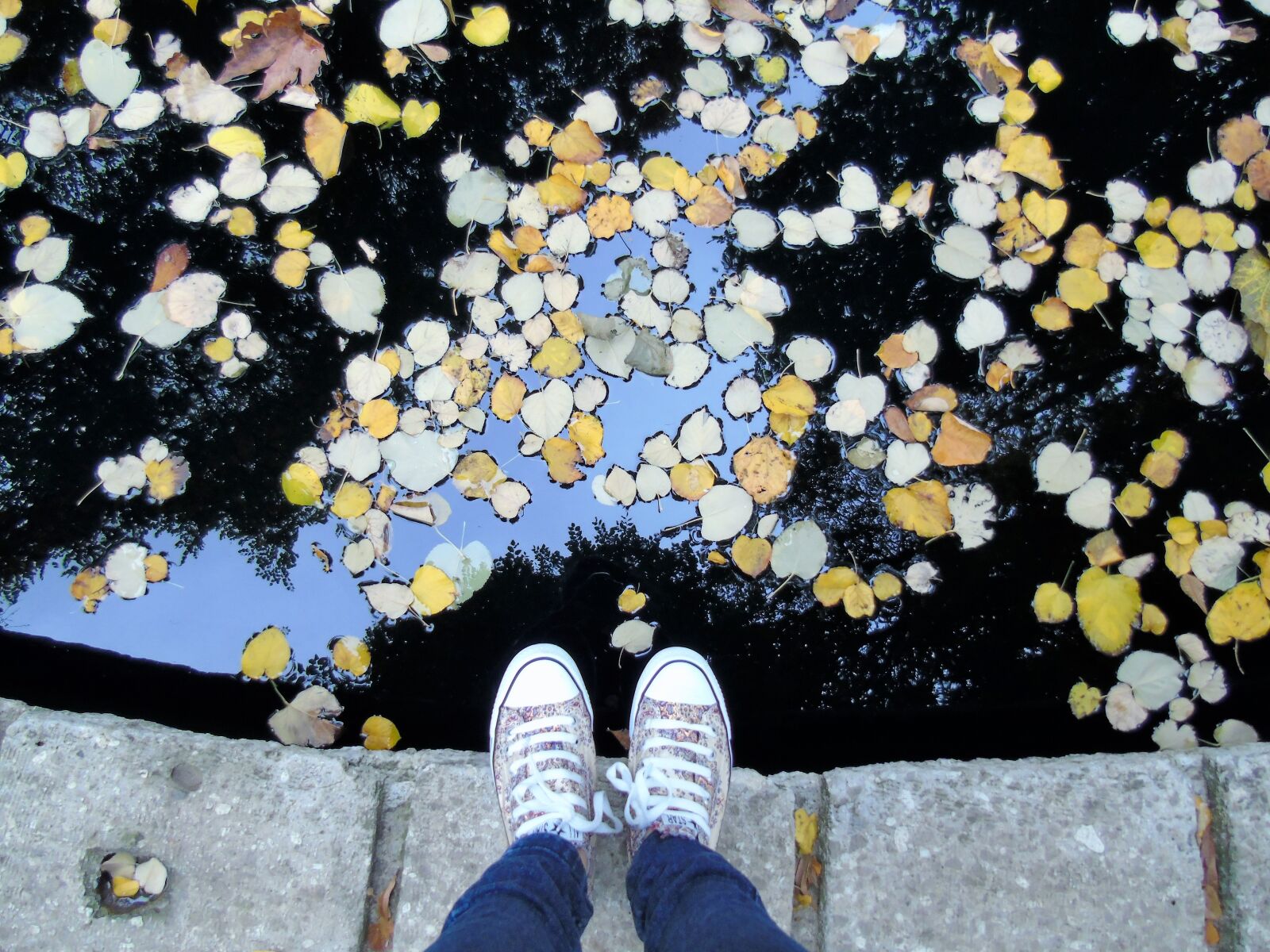 Sony Cyber-shot DSC-H400 sample photo. Feet, autumn, lawn photography