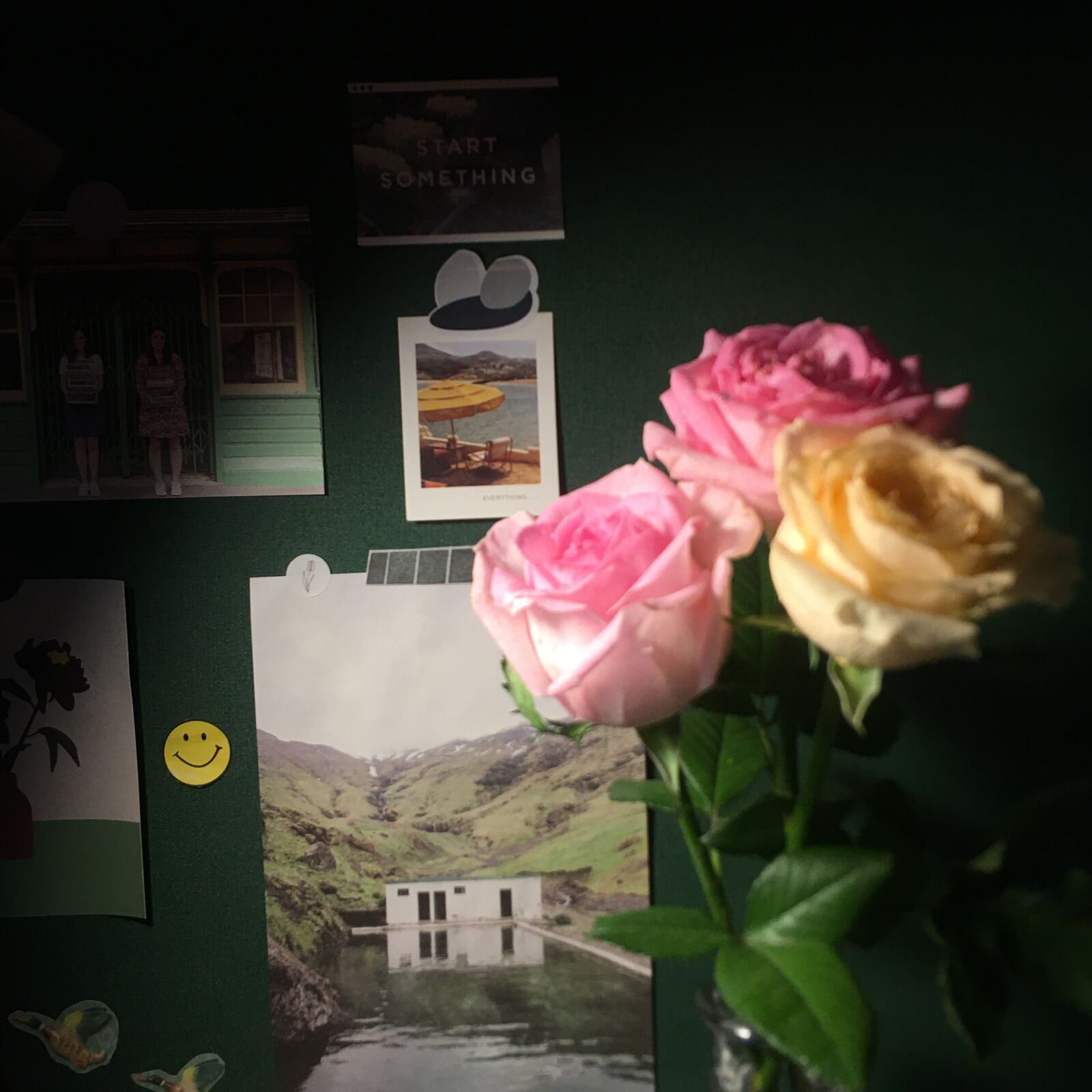 Apple iPhone 6s Plus sample photo. Flower, desktop, desk photography
