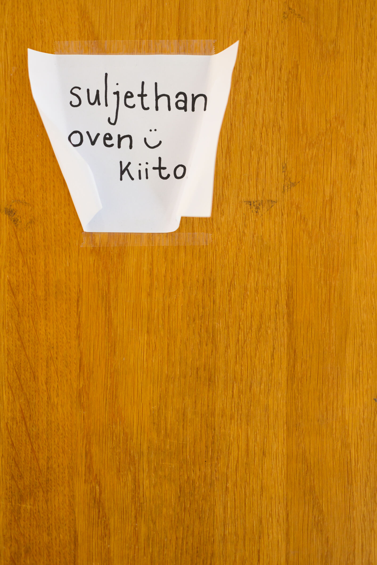 Nikon Z8 sample photo. Close the door photography
