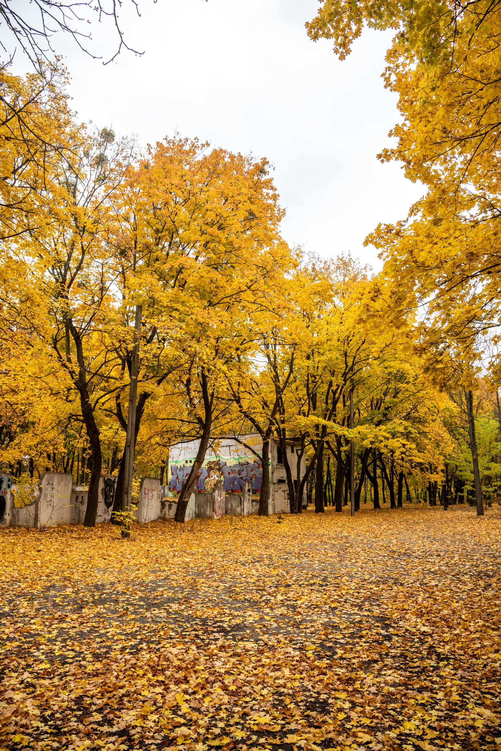 Nikon D750 sample photo