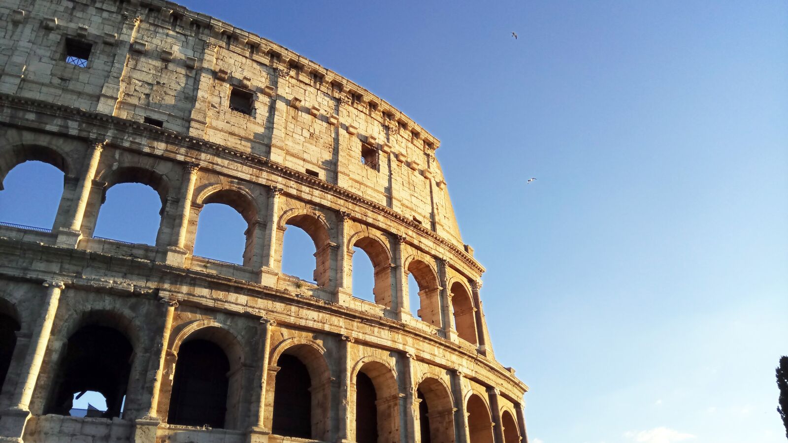 Xiaomi Redmi Pro sample photo. Rome, colosseum photography