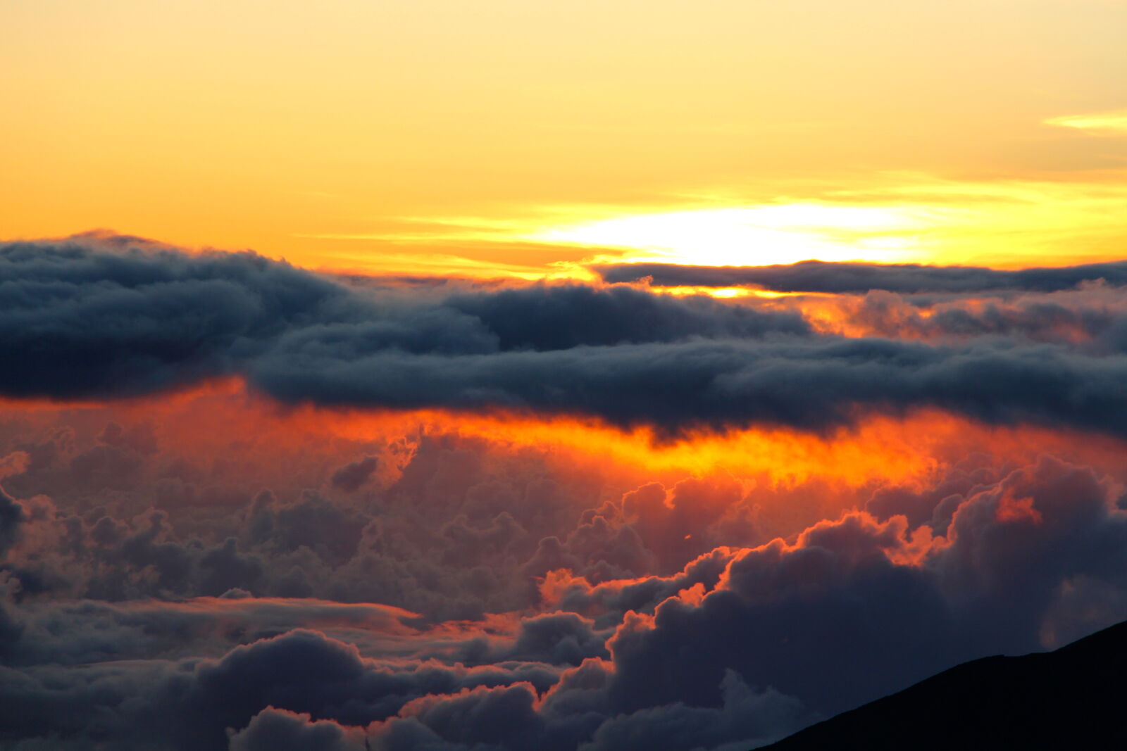 Canon EOS 650D (EOS Rebel T4i / EOS Kiss X6i) sample photo. Sun, rise photography