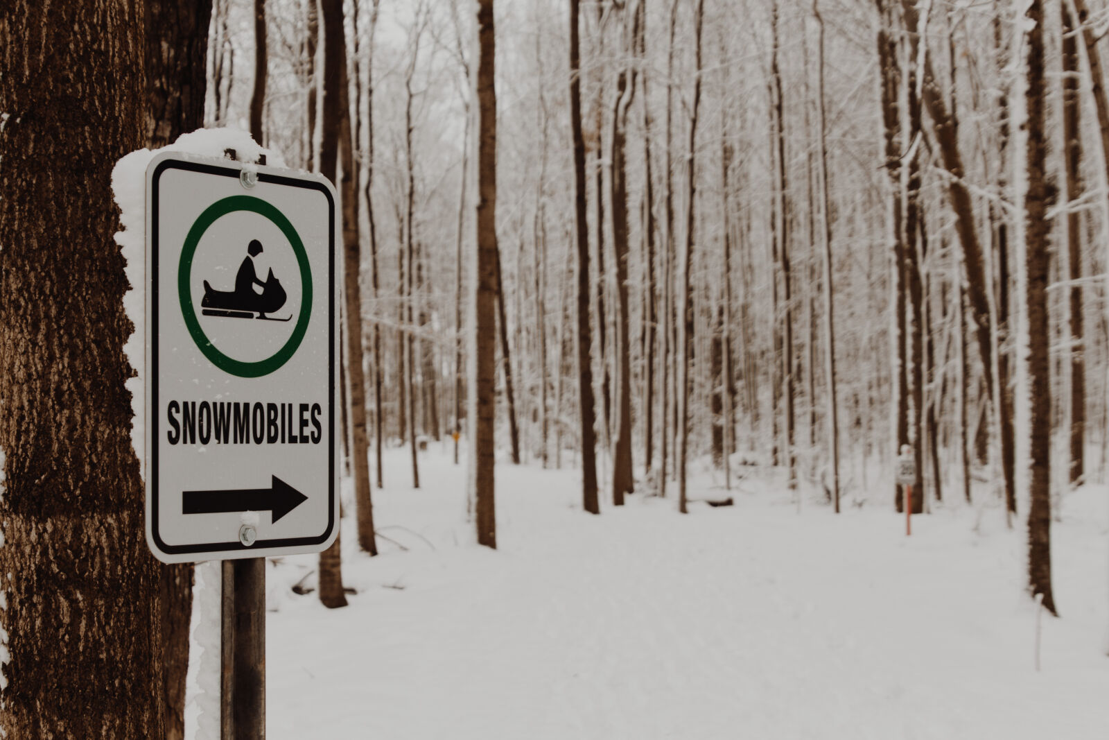 Canon EOS 650D (EOS Rebel T4i / EOS Kiss X6i) sample photo. Arrow, forest, sign, snowmobile photography
