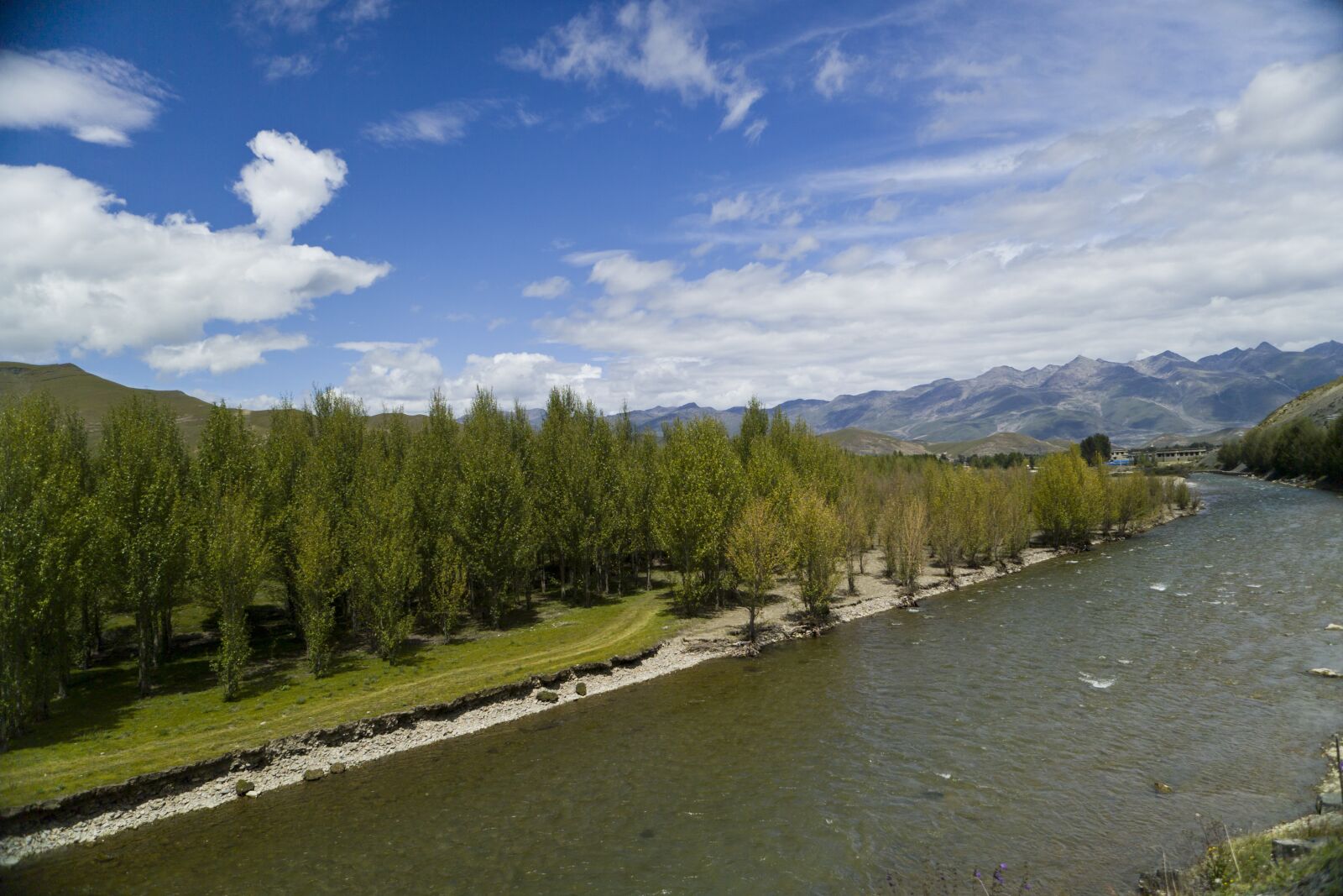 Kodak DCS Pro SLR/c sample photo. River, willow, blue sky photography