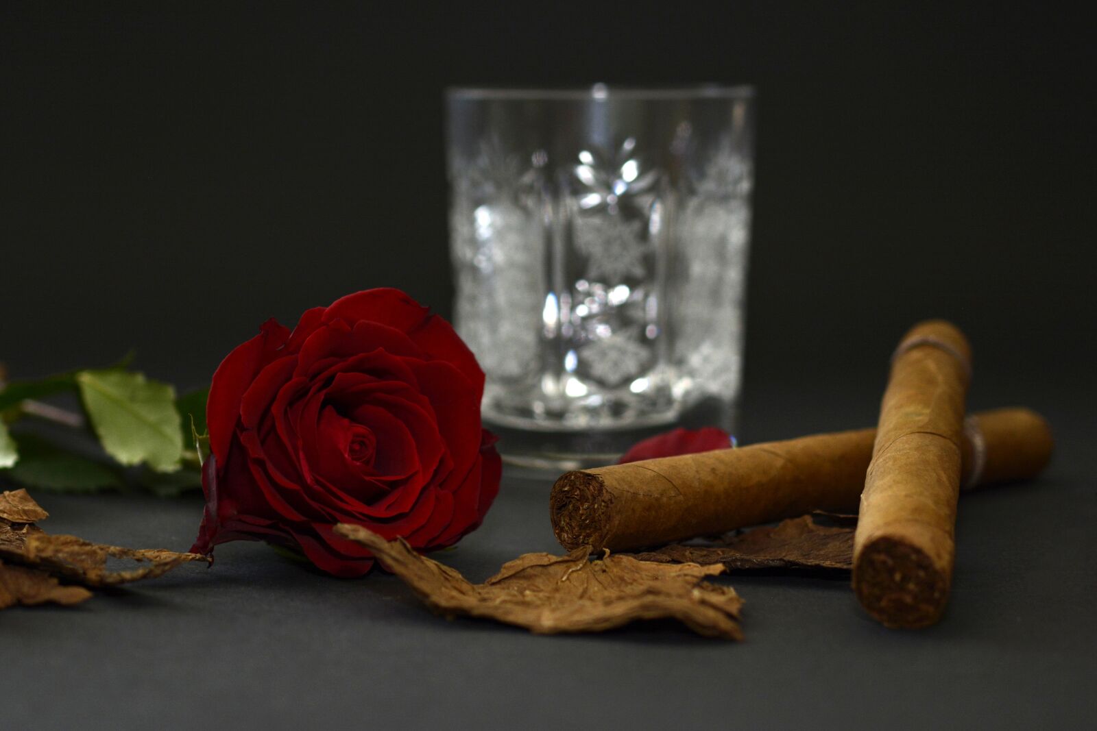 Nikon D7100 sample photo. Rose, red rose, cigar photography