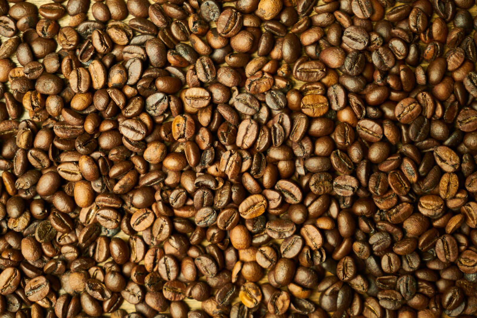 Sony a7R II sample photo. Coffee, core, seed photography