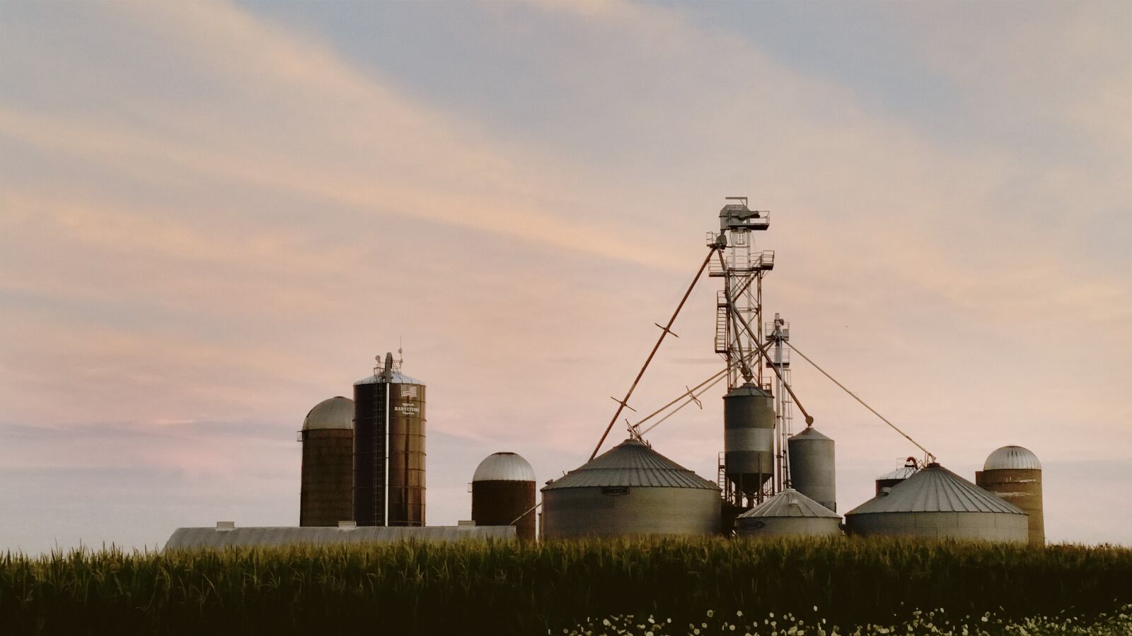 Samsung Galaxy S5 sample photo. Farm, dairy, dairy farm photography