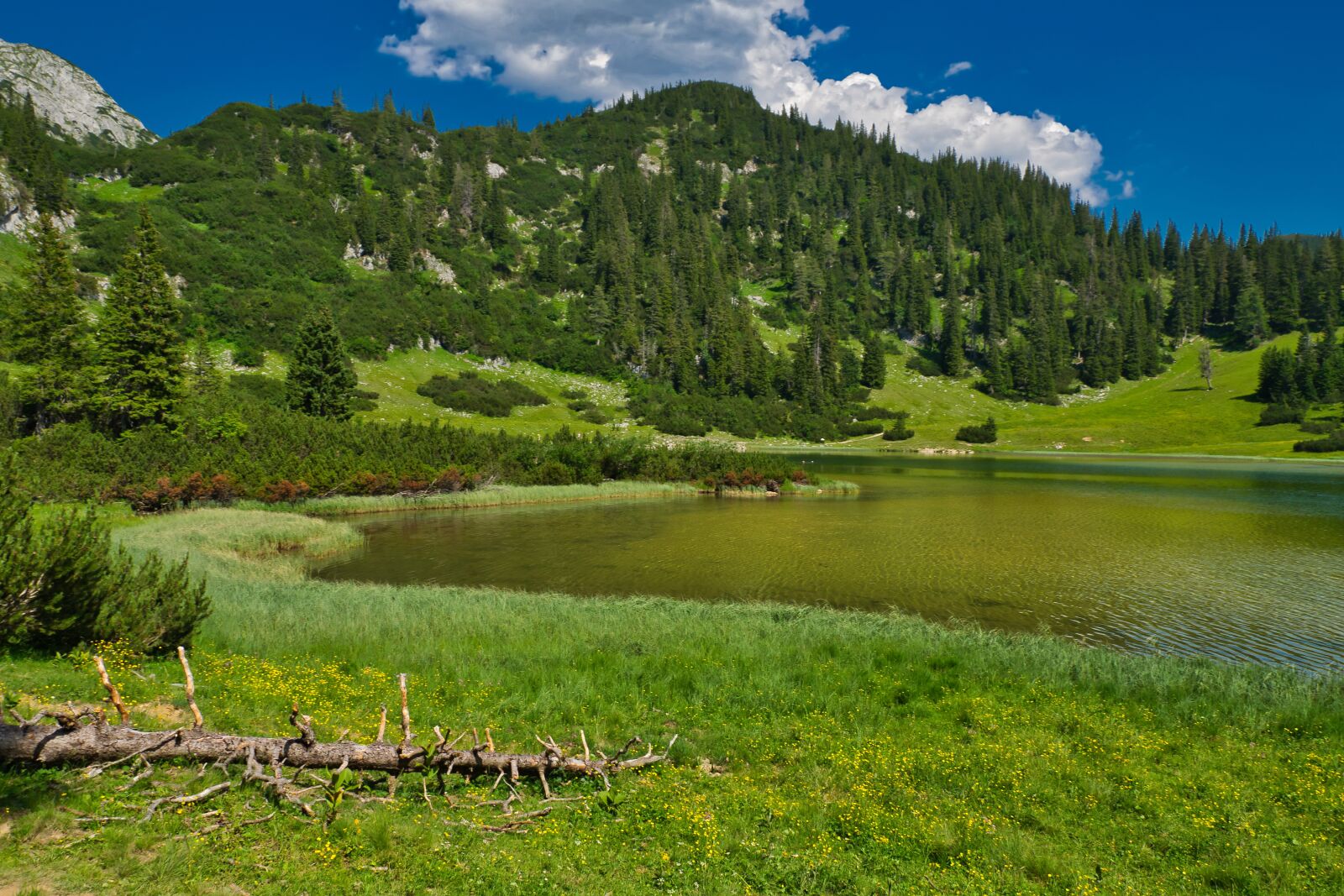 Nikon D5300 sample photo. Landscape, bergsee, nature photography