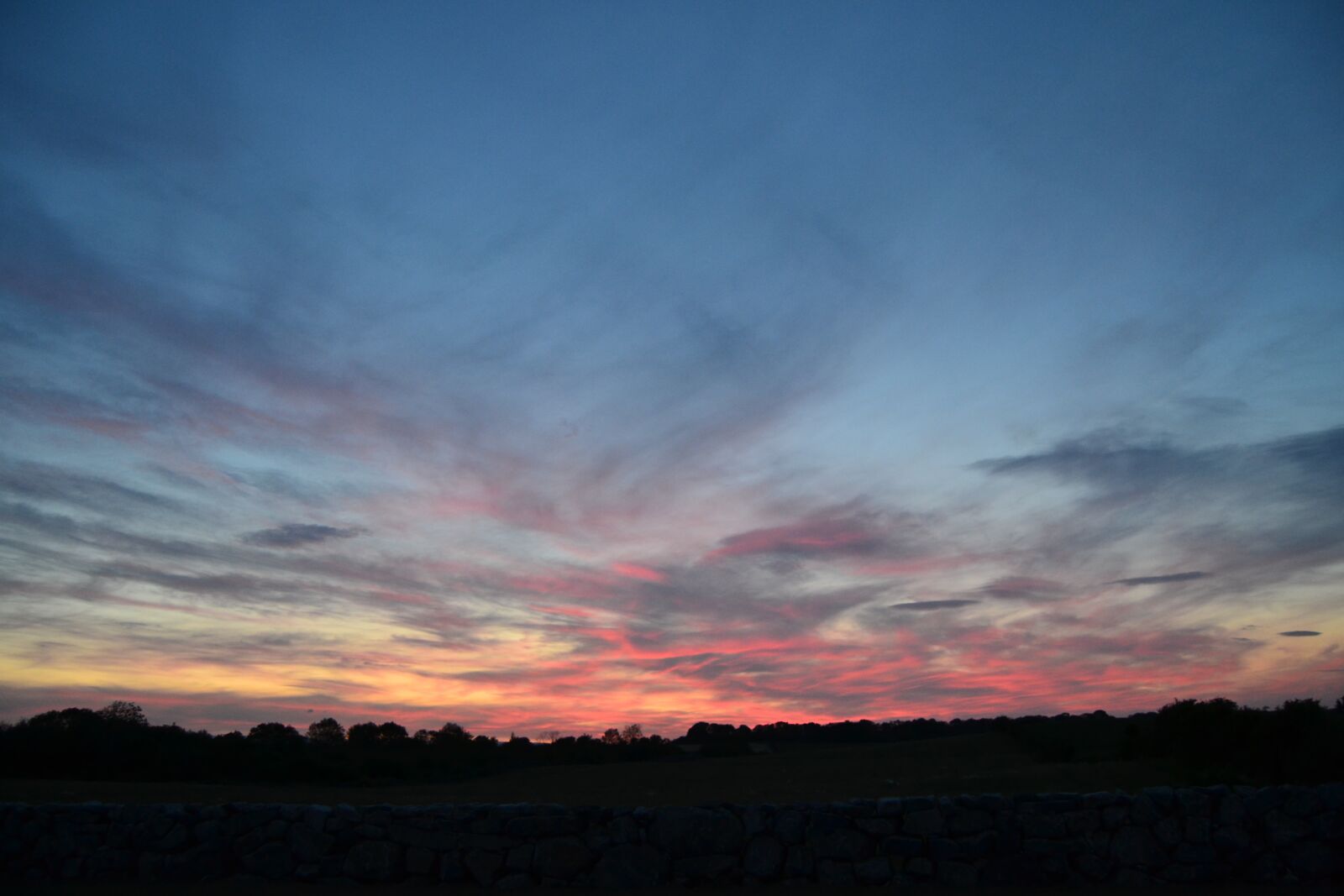 Nikon D3100 sample photo. Sunset, dramatic, nature photography