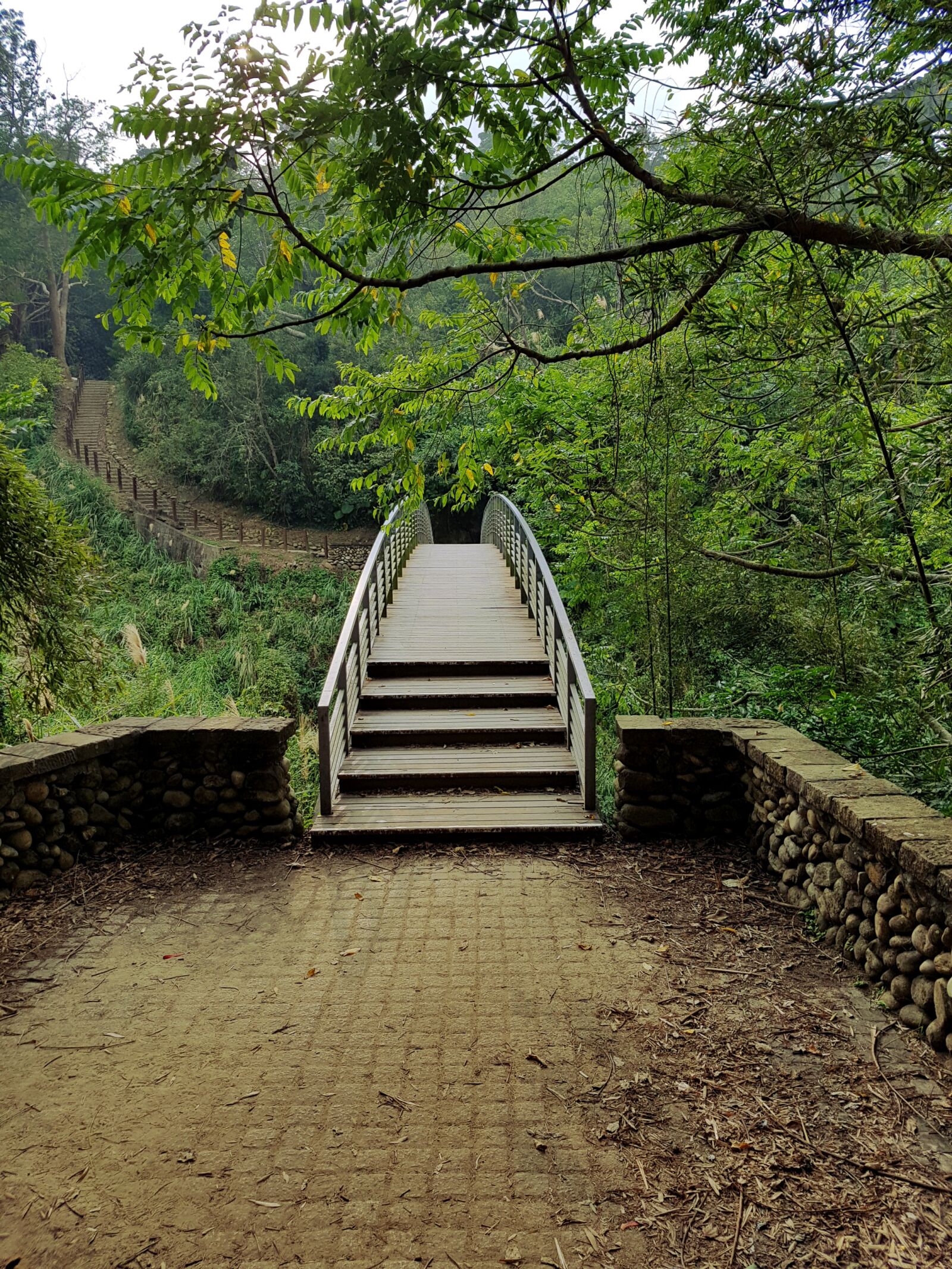 Samsung Galaxy S7 sample photo. Bridge, forest, path photography